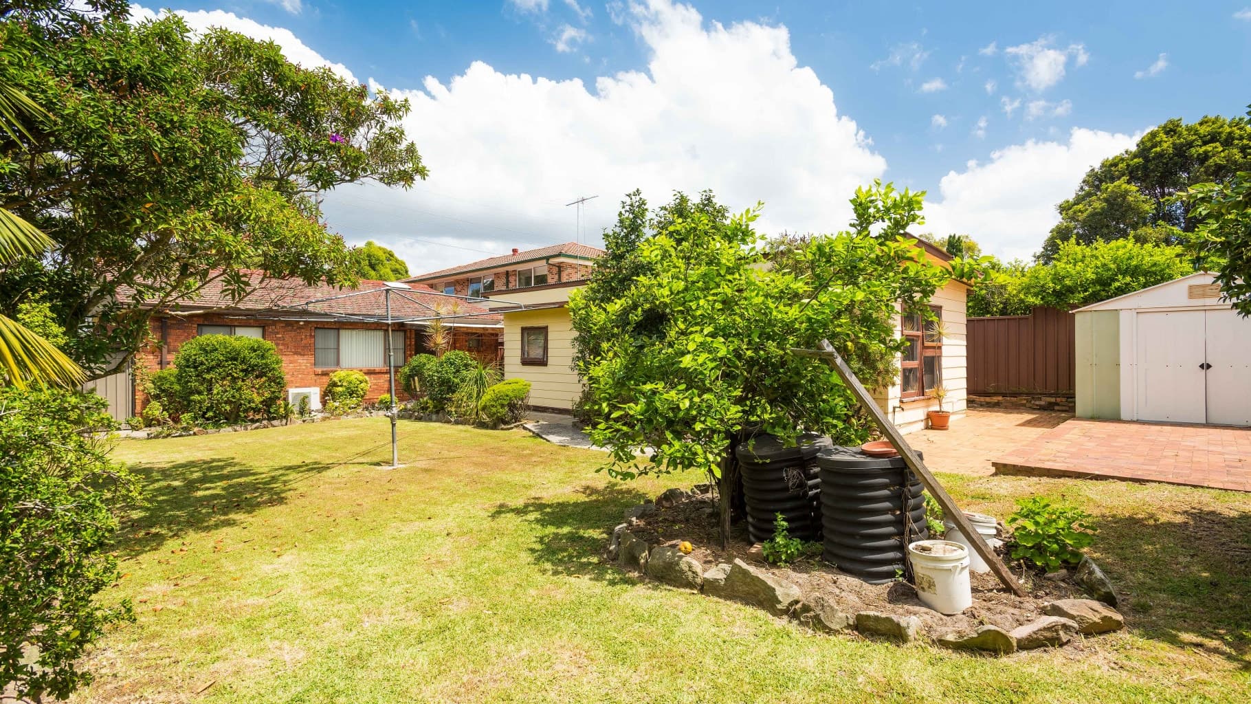 239 Box  Road, Sylvania - Thumbnail 5