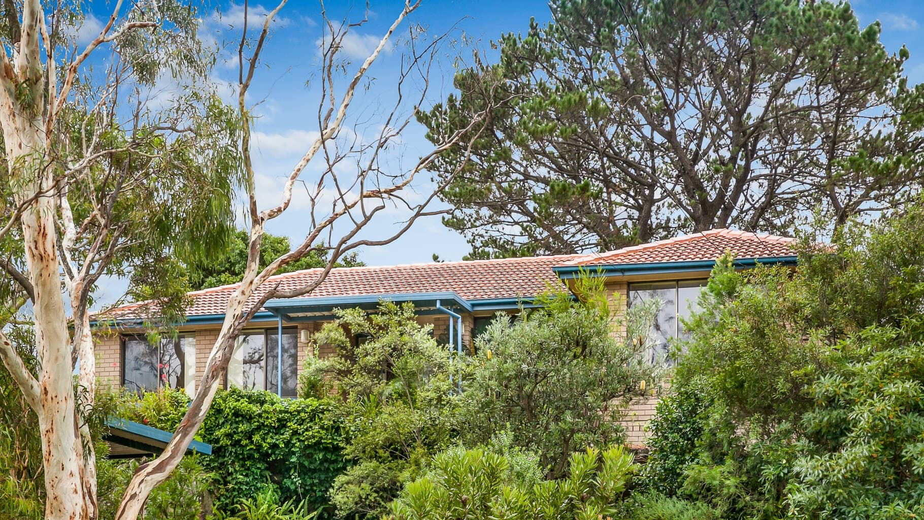 95 Ninth Avenue, Loftus - Thumbnail 6