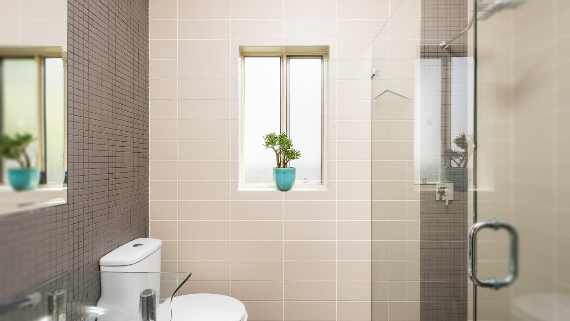 153 Oyster Bay Road, Oyster Bay - Thumbnail 4