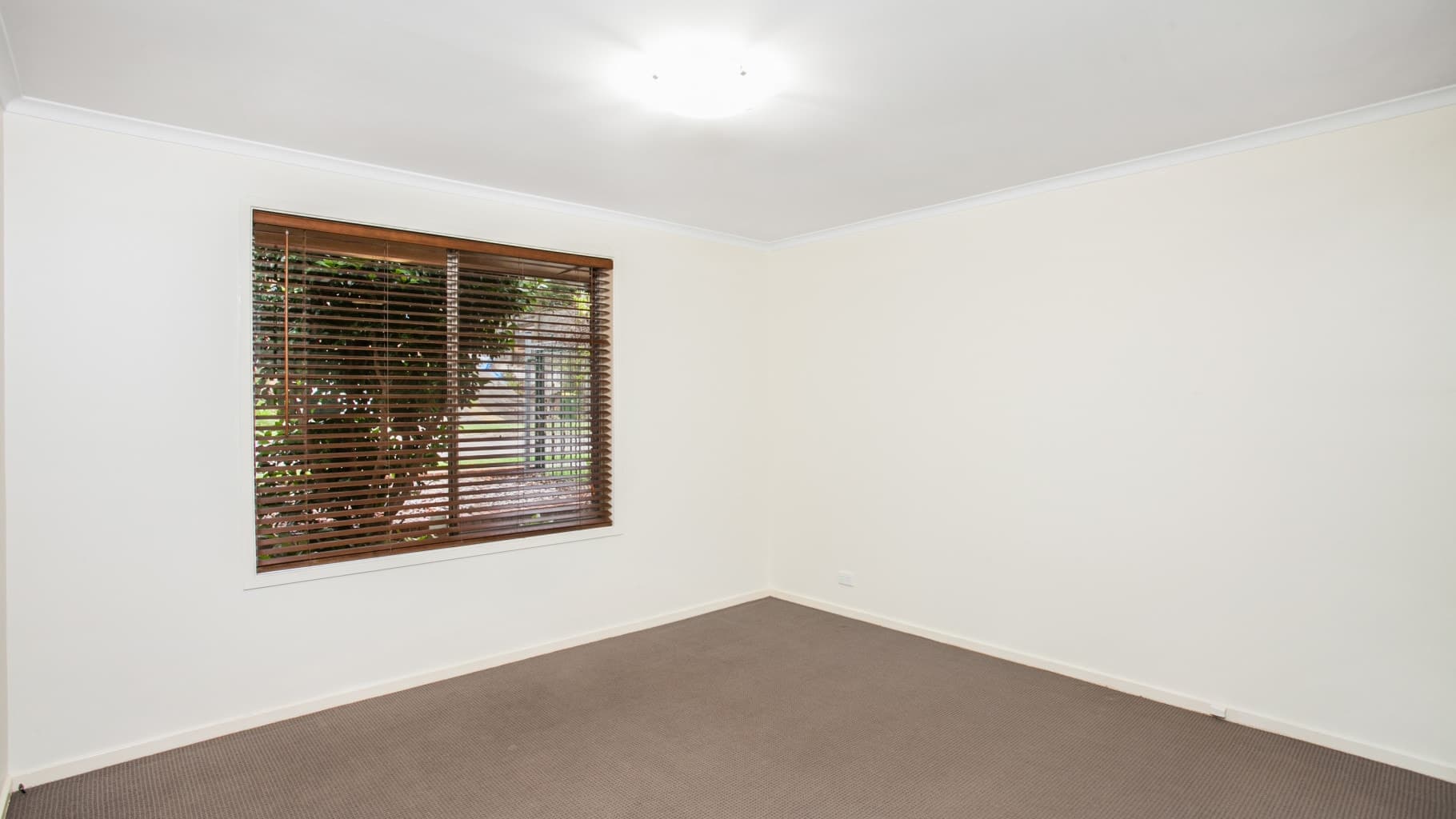 55 Tudar  Road, Bonnet Bay - Thumbnail 4