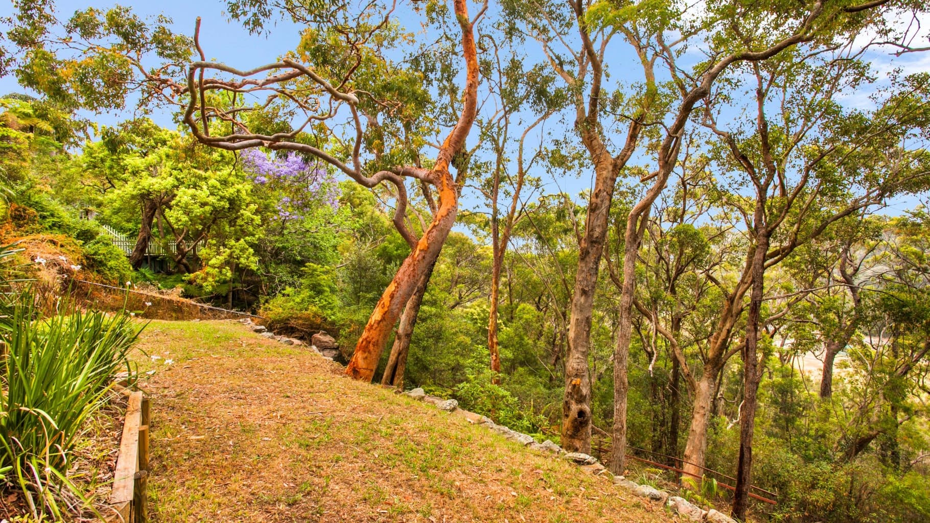 15 Jefferson Crescent, Bonnet Bay - Thumbnail 7