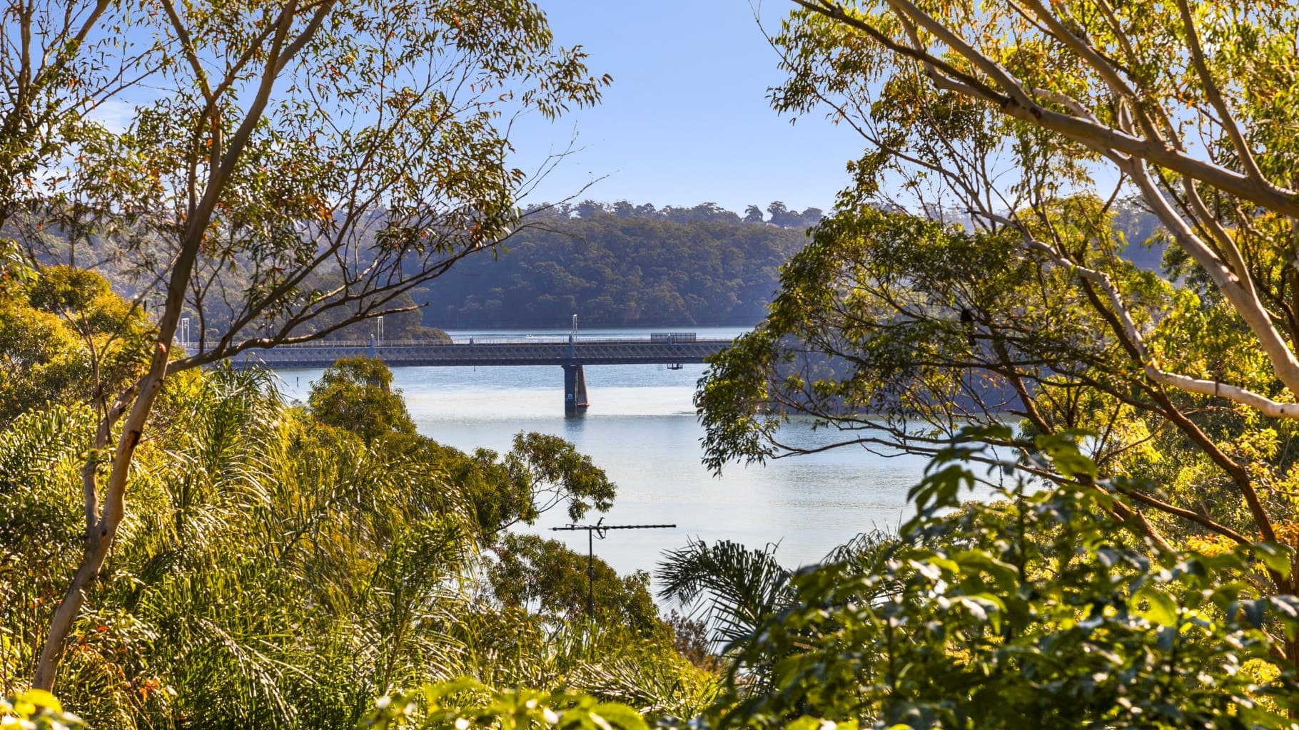 41 Caravan Head Road, Oyster Bay - Thumbnail 5