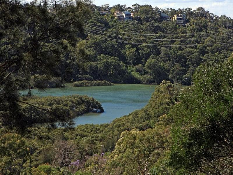 24 Harding Place, Bonnet Bay - Thumbnail 4