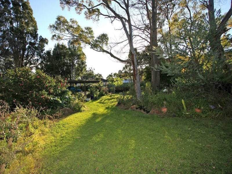 85 Green Point Road, Oyster Bay - Thumbnail 6
