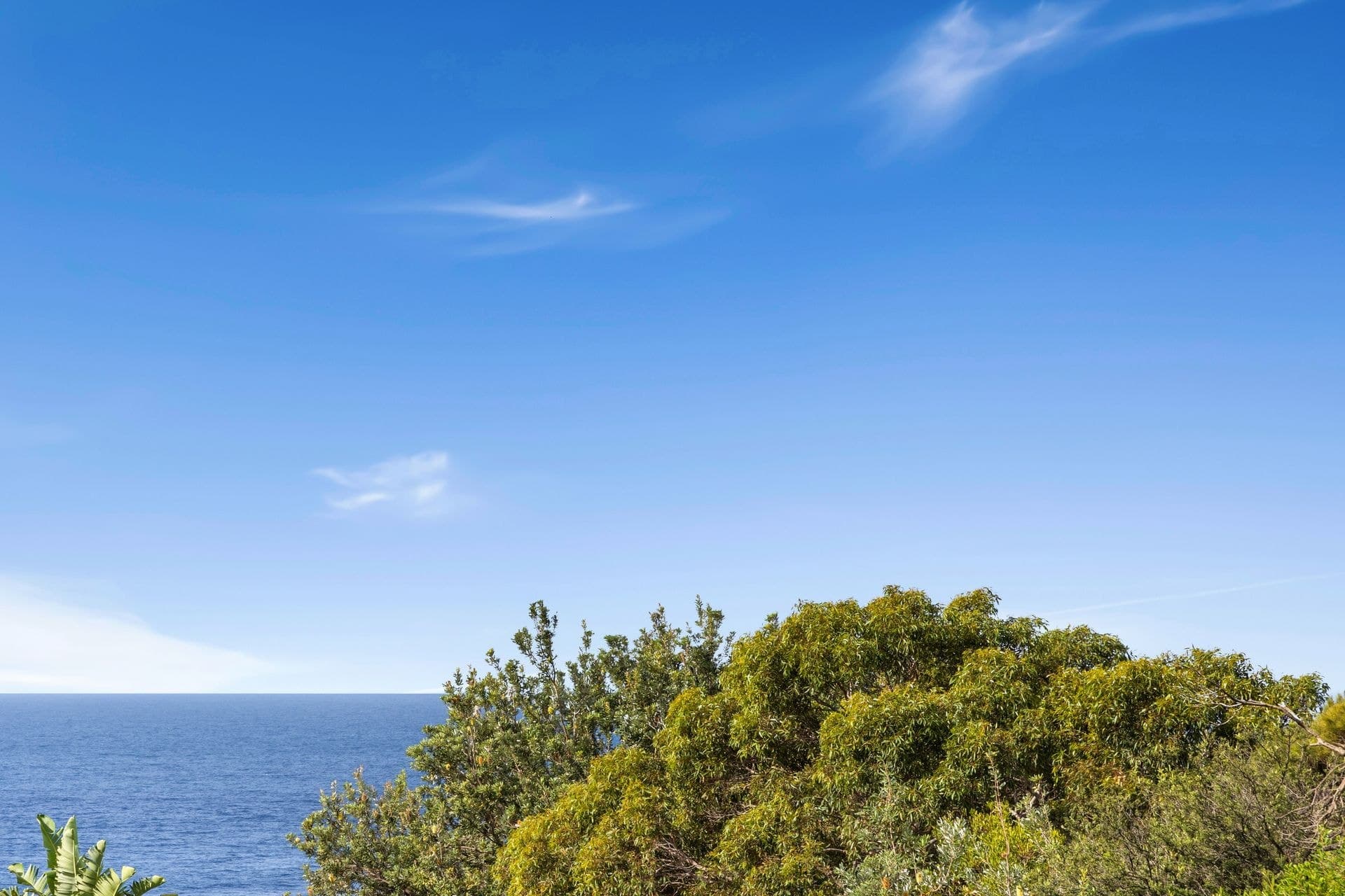 16/1 Brown Road, Maroubra - Thumbnail 8