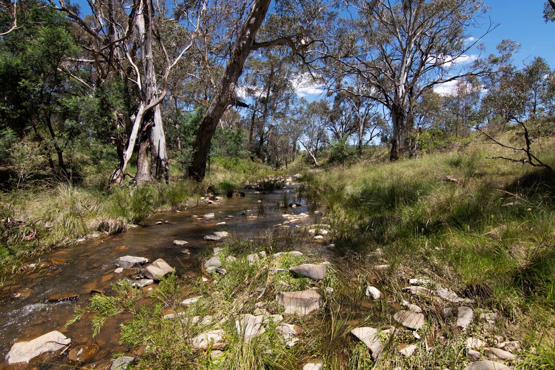955 Campbells Creek Road, Mudgee NSW 2850, Mudgee - Thumbnail 2