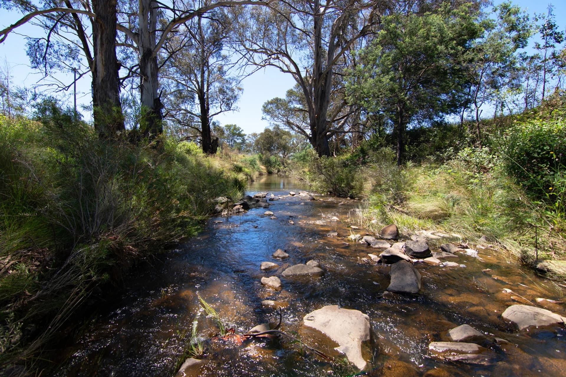 955 Campbells Creek Road, Mudgee NSW 2850, Mudgee - Thumbnail 3