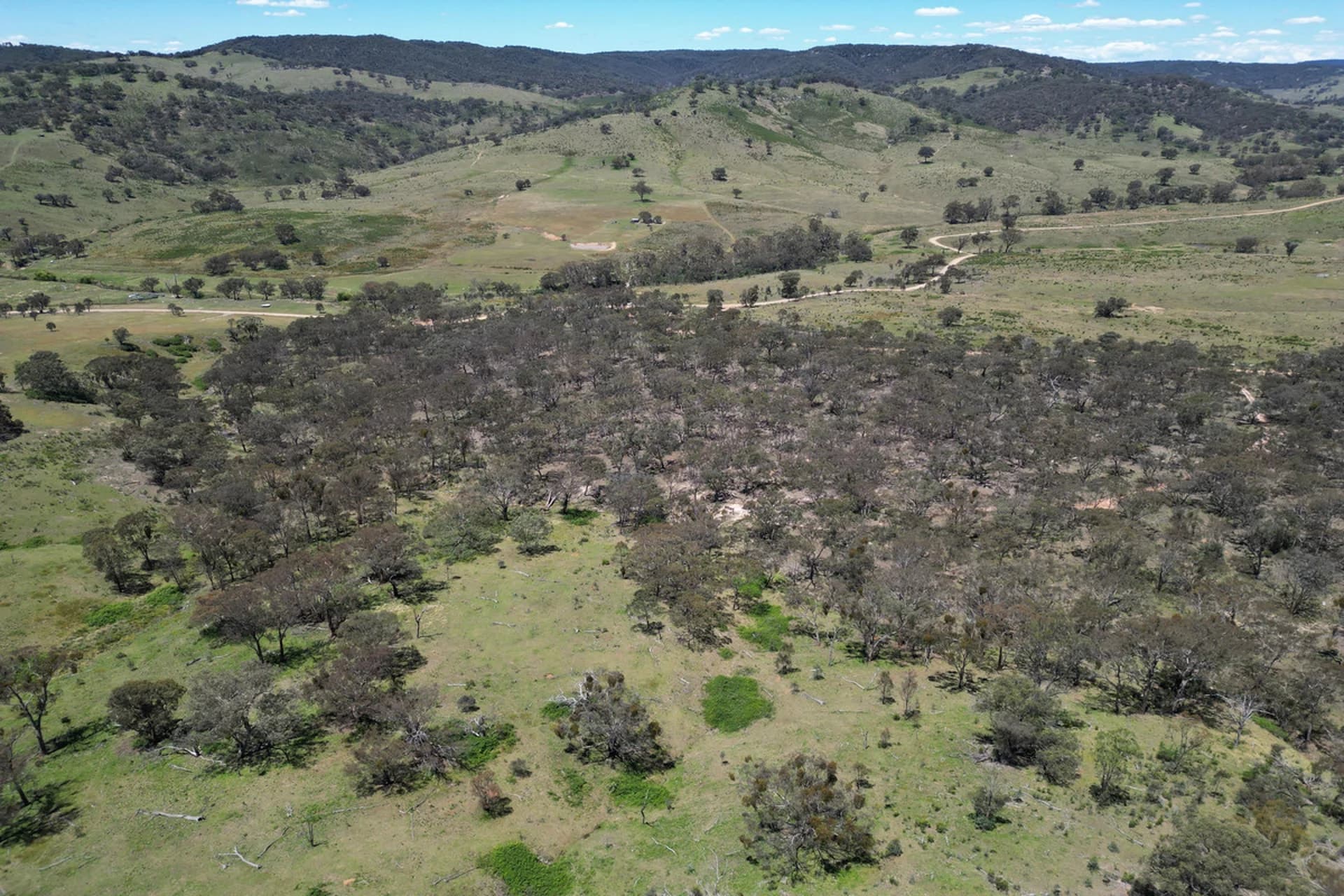 955 Campbells Creek Road, Mudgee NSW 2850, Mudgee - Thumbnail 5