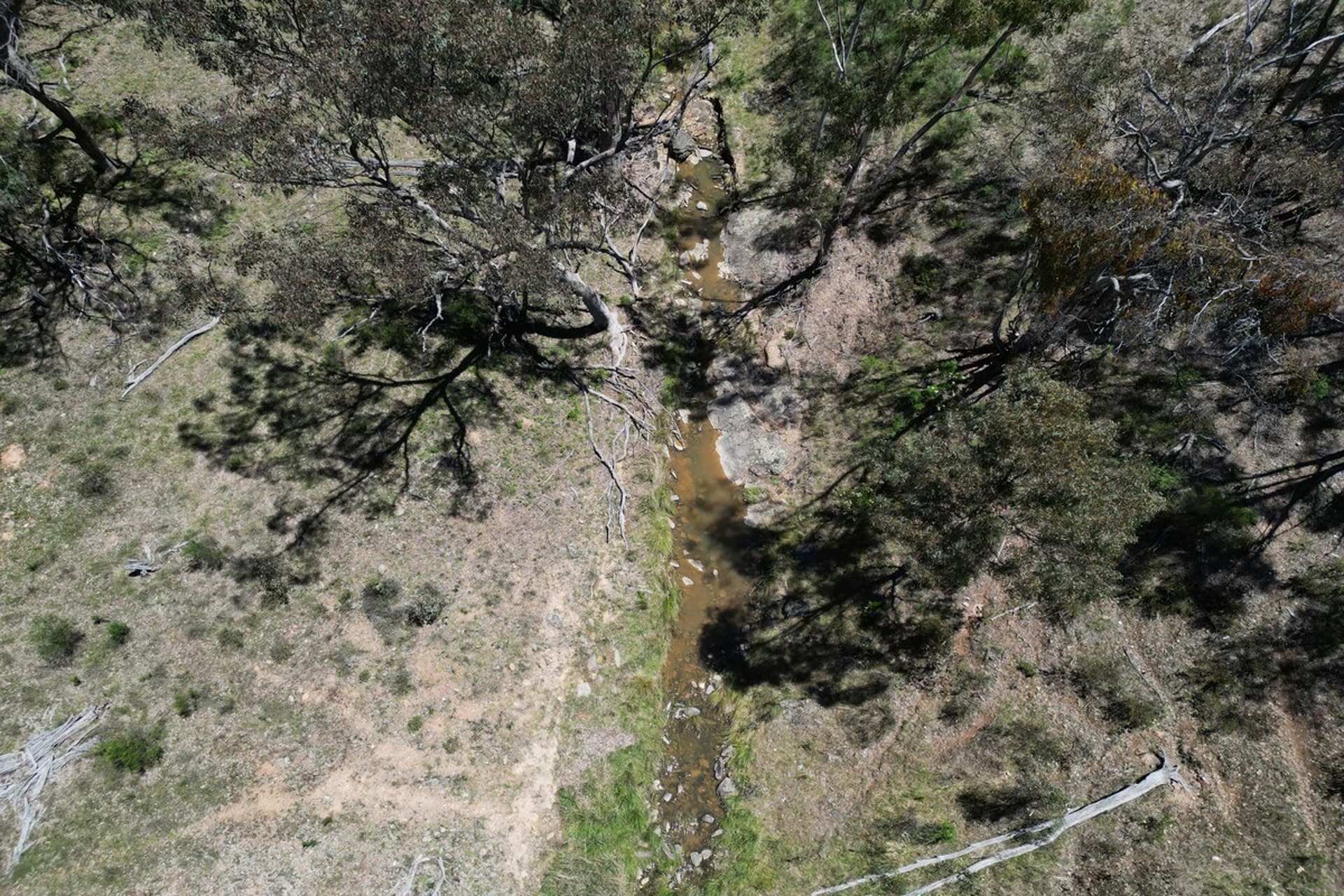 955 Campbells Creek Road, Mudgee NSW 2850, Mudgee - Thumbnail 7