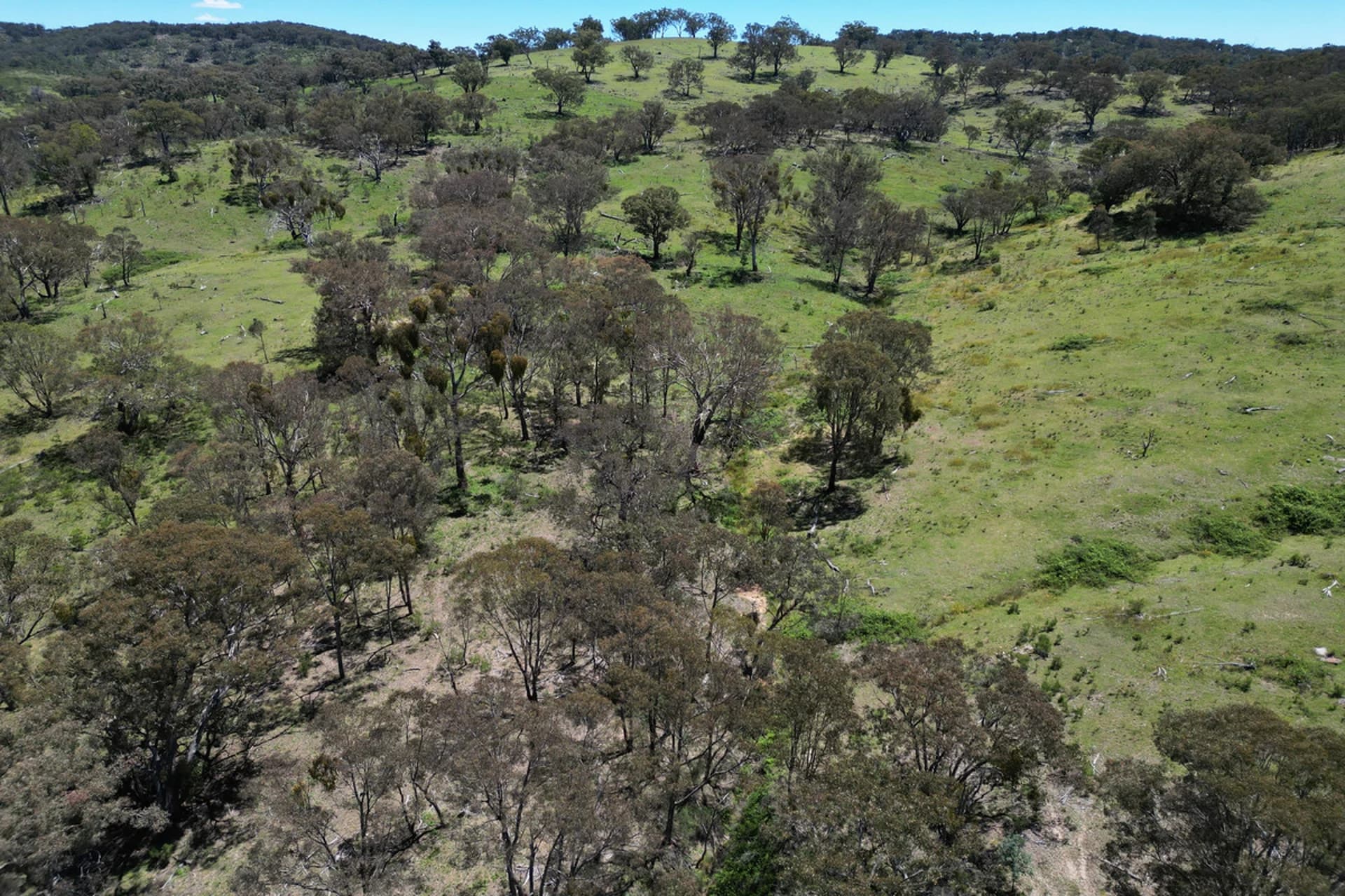 955 Campbells Creek Road, Mudgee NSW 2850, Mudgee - Thumbnail 8