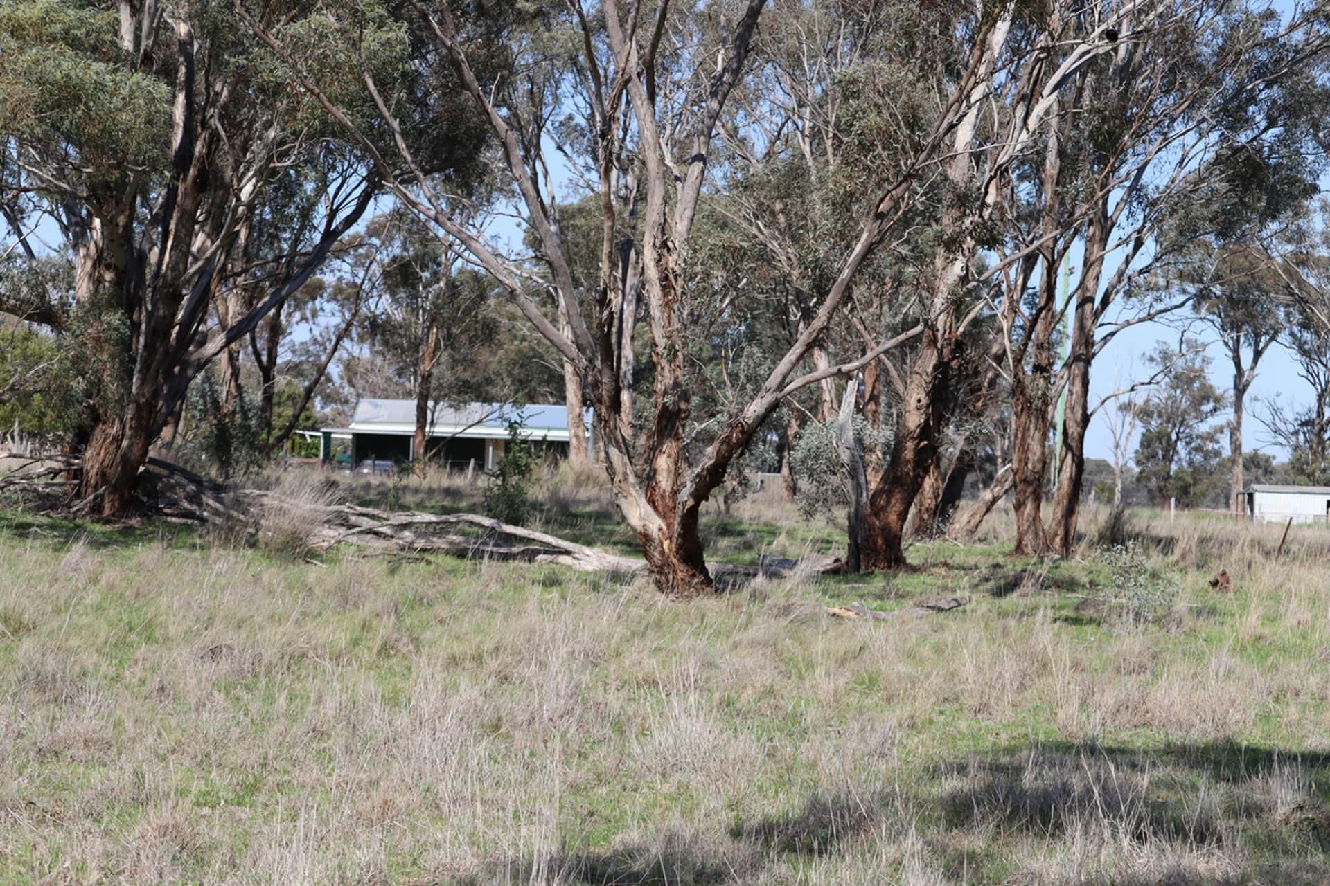 48 Dunedoo Street, Dunedoo NSW 2844, Cobbora - Thumbnail 5