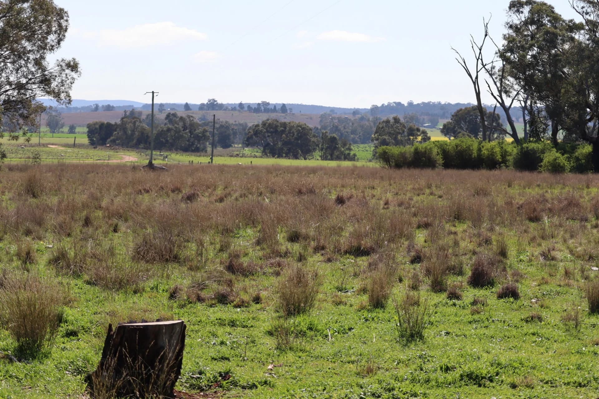37 Birriwa Street, Dunedoo NSW 2844, Dunedoo - Image 1