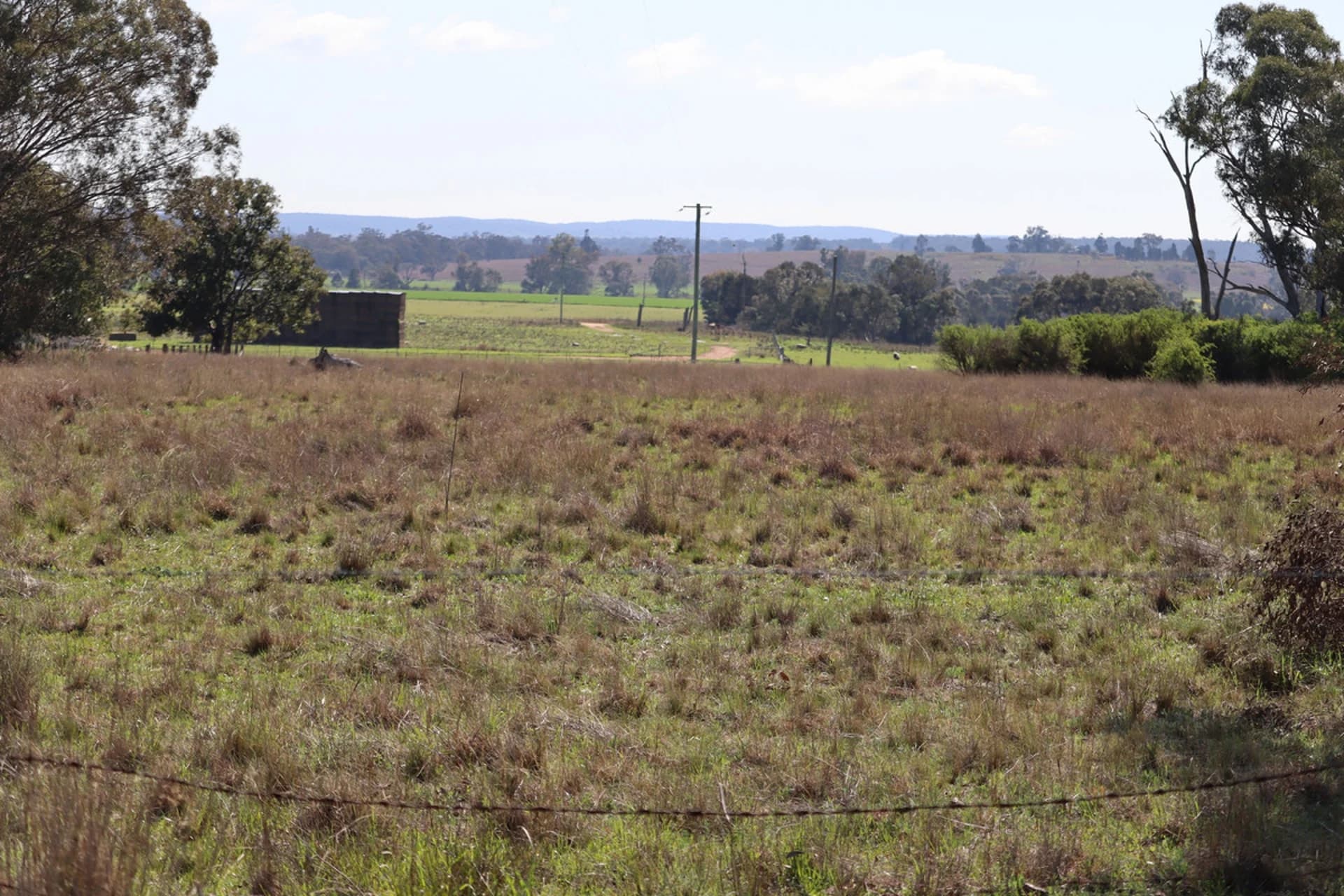 37 Birriwa Street, Dunedoo NSW 2844, Dunedoo - Thumbnail 2