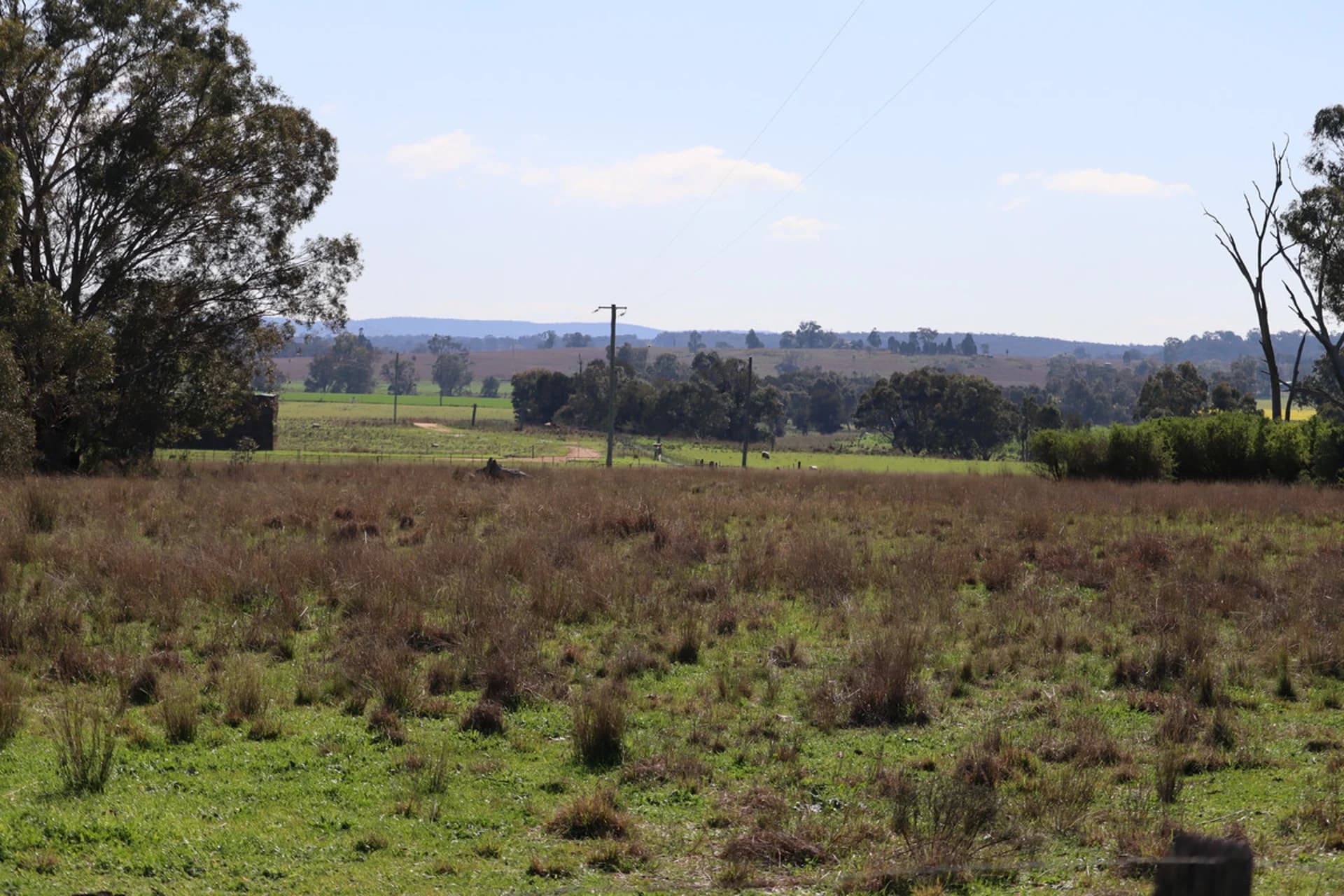 37 Birriwa Street, Dunedoo NSW 2844, Dunedoo - Thumbnail 3