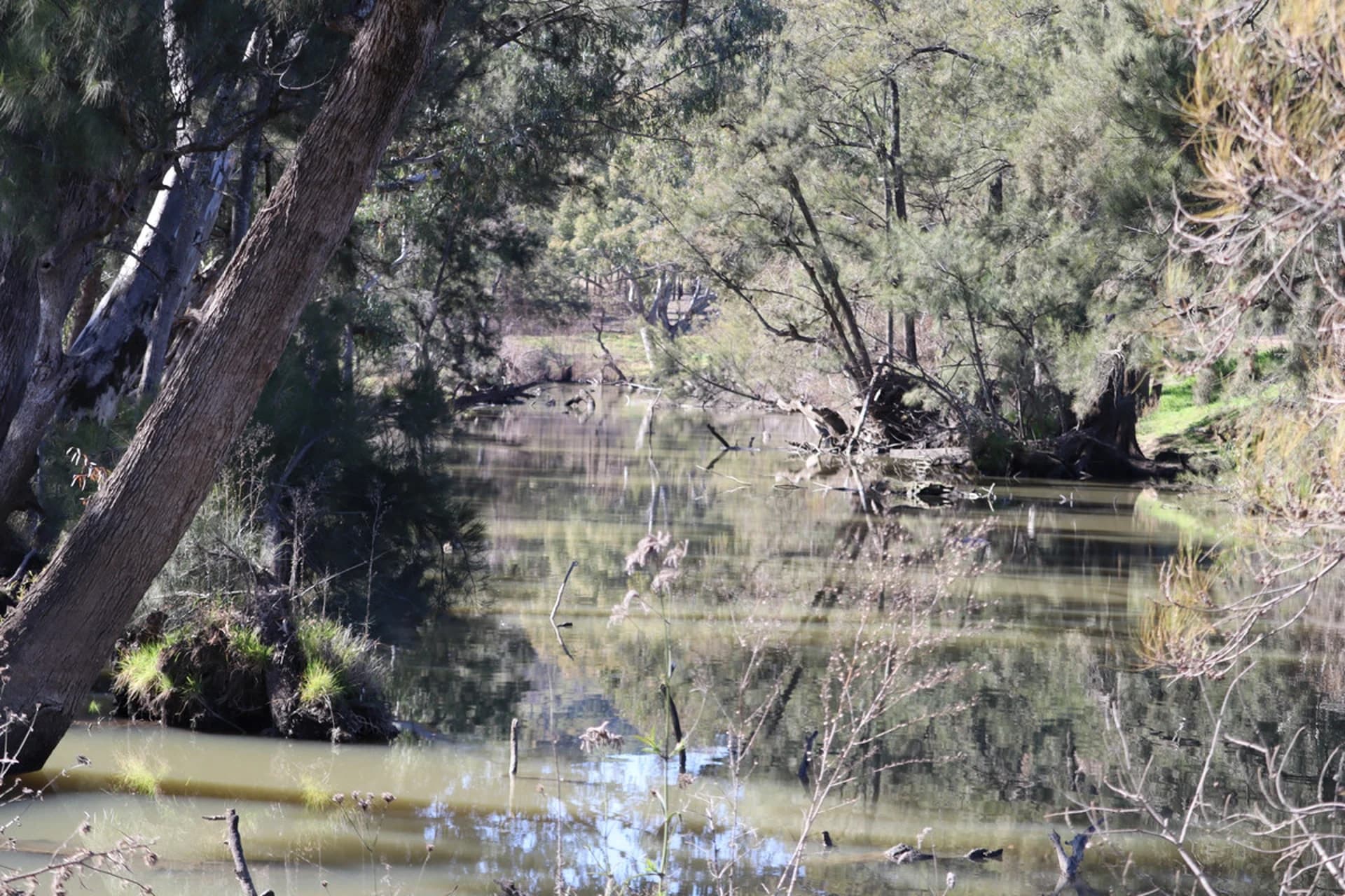 1/738 Kaludabah Road, Mudgee NSW 2850, Mudgee - Thumbnail 2