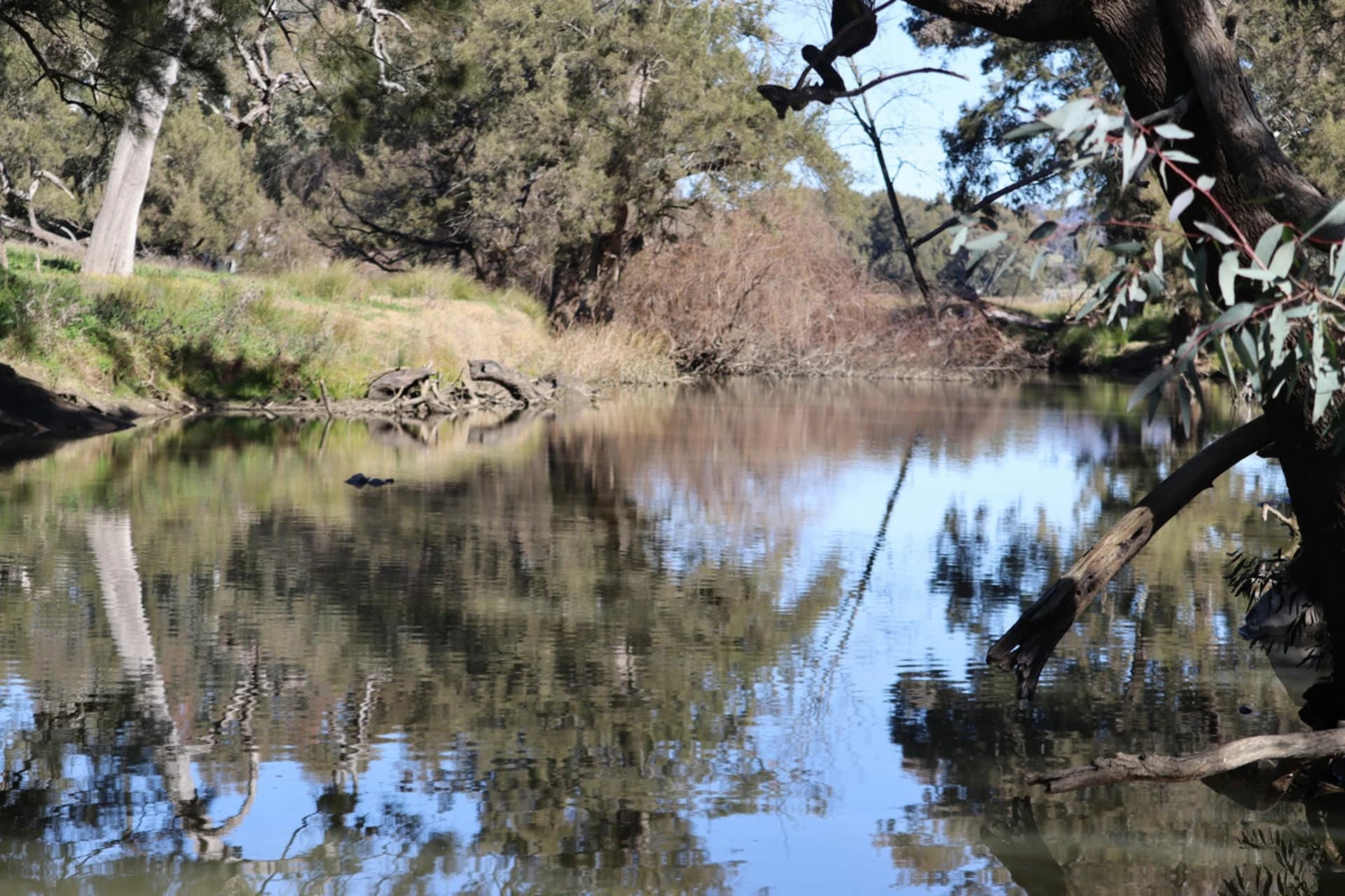 1/738 Kaludabah Road, Mudgee NSW 2850, Mudgee - Thumbnail 3