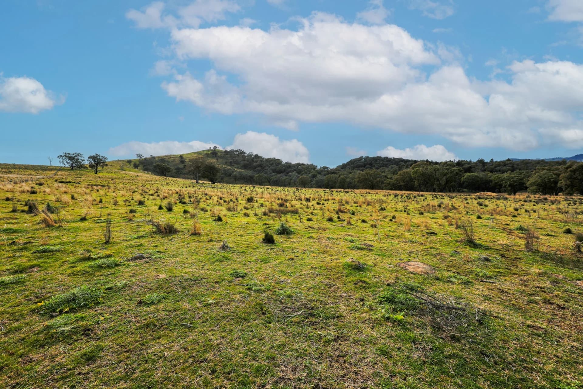 1/738 Kaludabah Road, Mudgee NSW 2850, Mudgee - Thumbnail 4