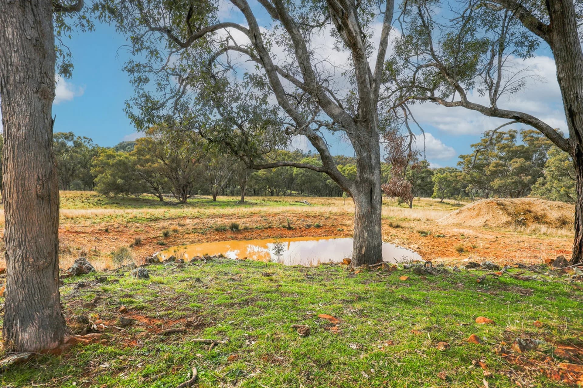 1/738 Kaludabah Road, Mudgee NSW 2850, Mudgee - Thumbnail 7