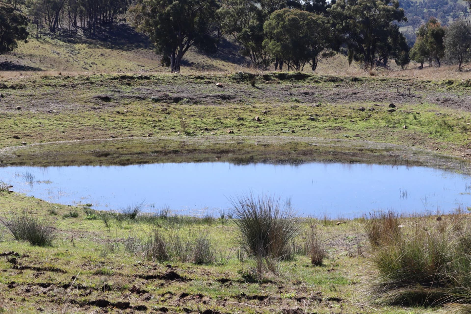 1/738 Kaludabah Road, Mudgee NSW 2850, Mudgee - Thumbnail 8