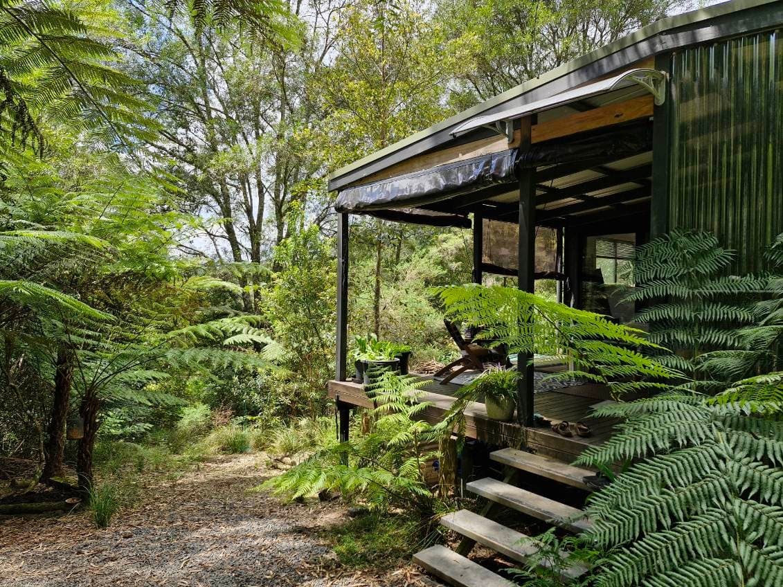 776 Lower Bielsdown Road, Tallowwood Ridge NSW 2453, Tallowwood Ridge - Image 1