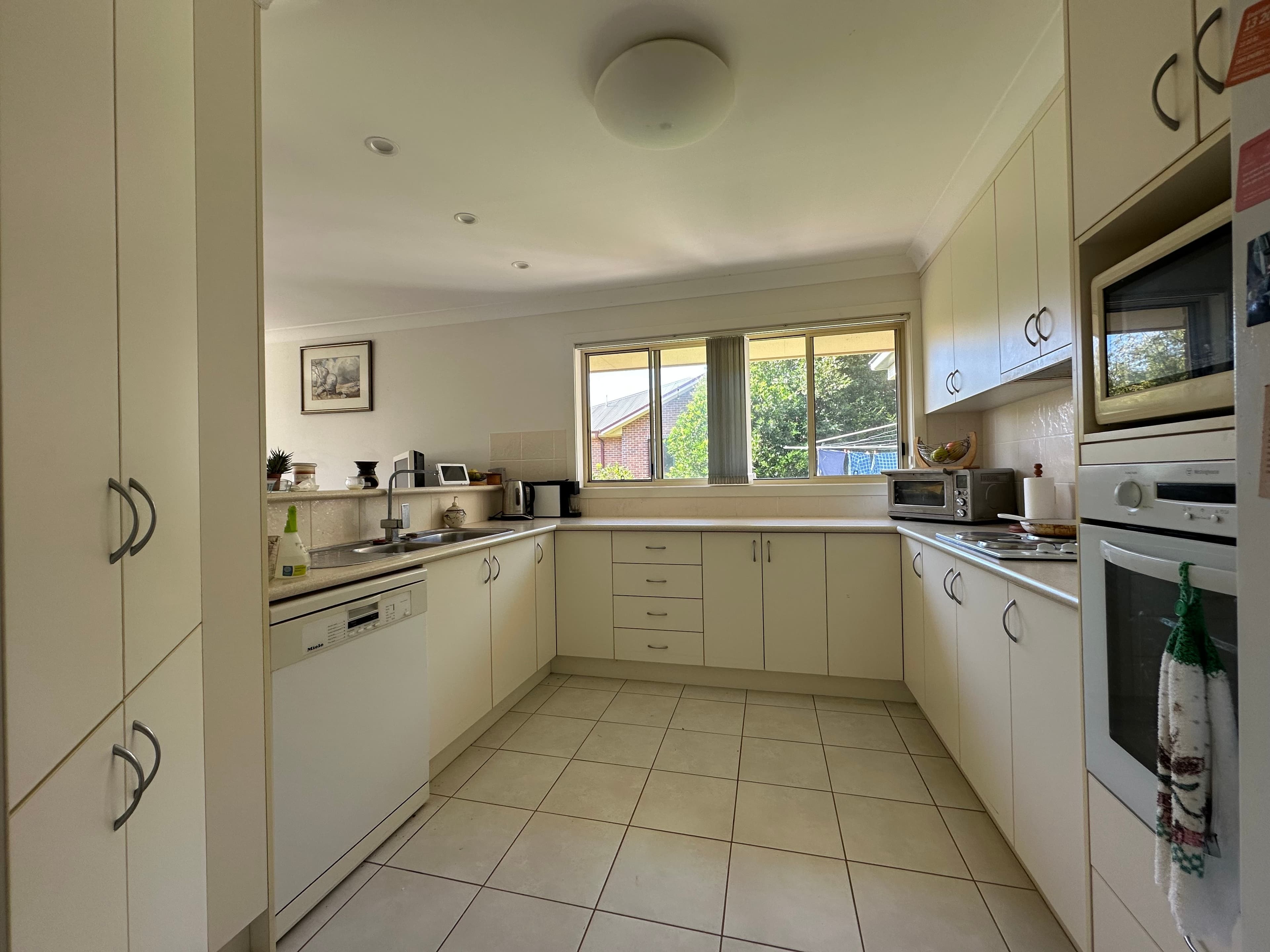 20 Old Coramba Road South, Dorrigo NSW 2453, Dorrigo - Thumbnail 2
