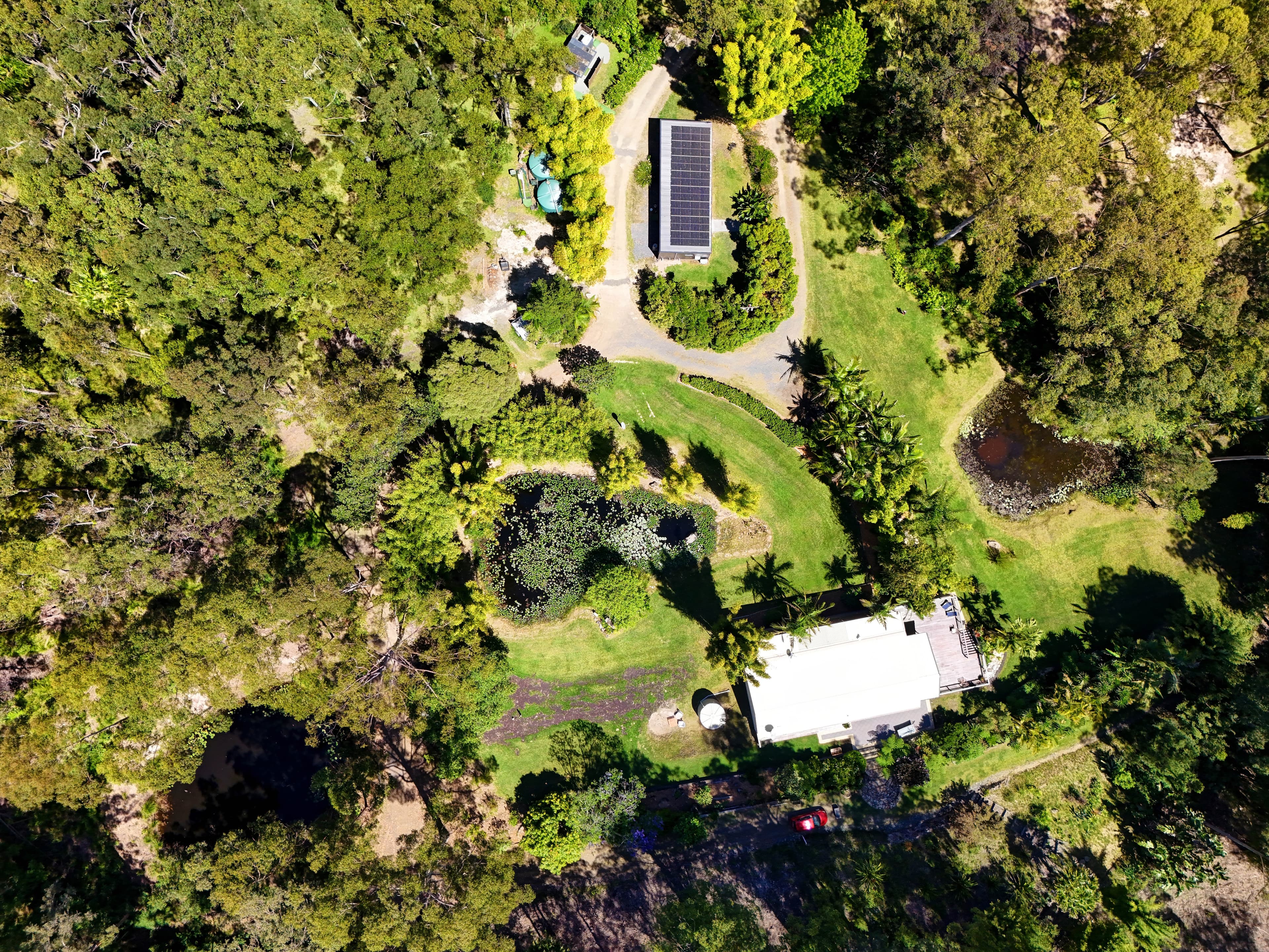86 Sugar Creek Road, Bungwahl NSW 2423, Bungwahl - Image 1