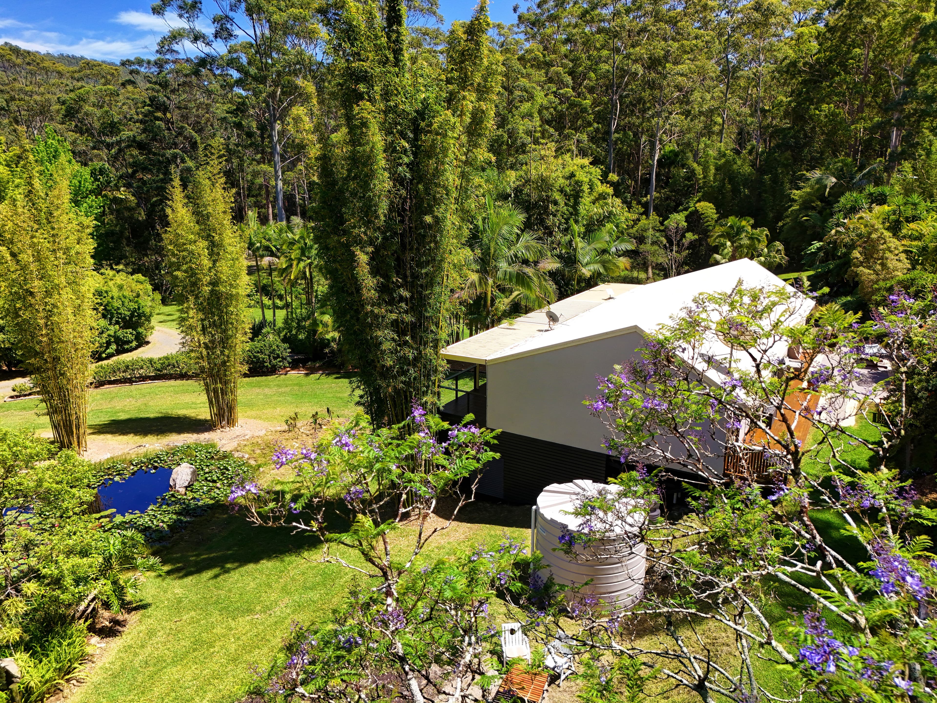 86 Sugar Creek Road, Bungwahl NSW 2423, Bungwahl - Thumbnail 3