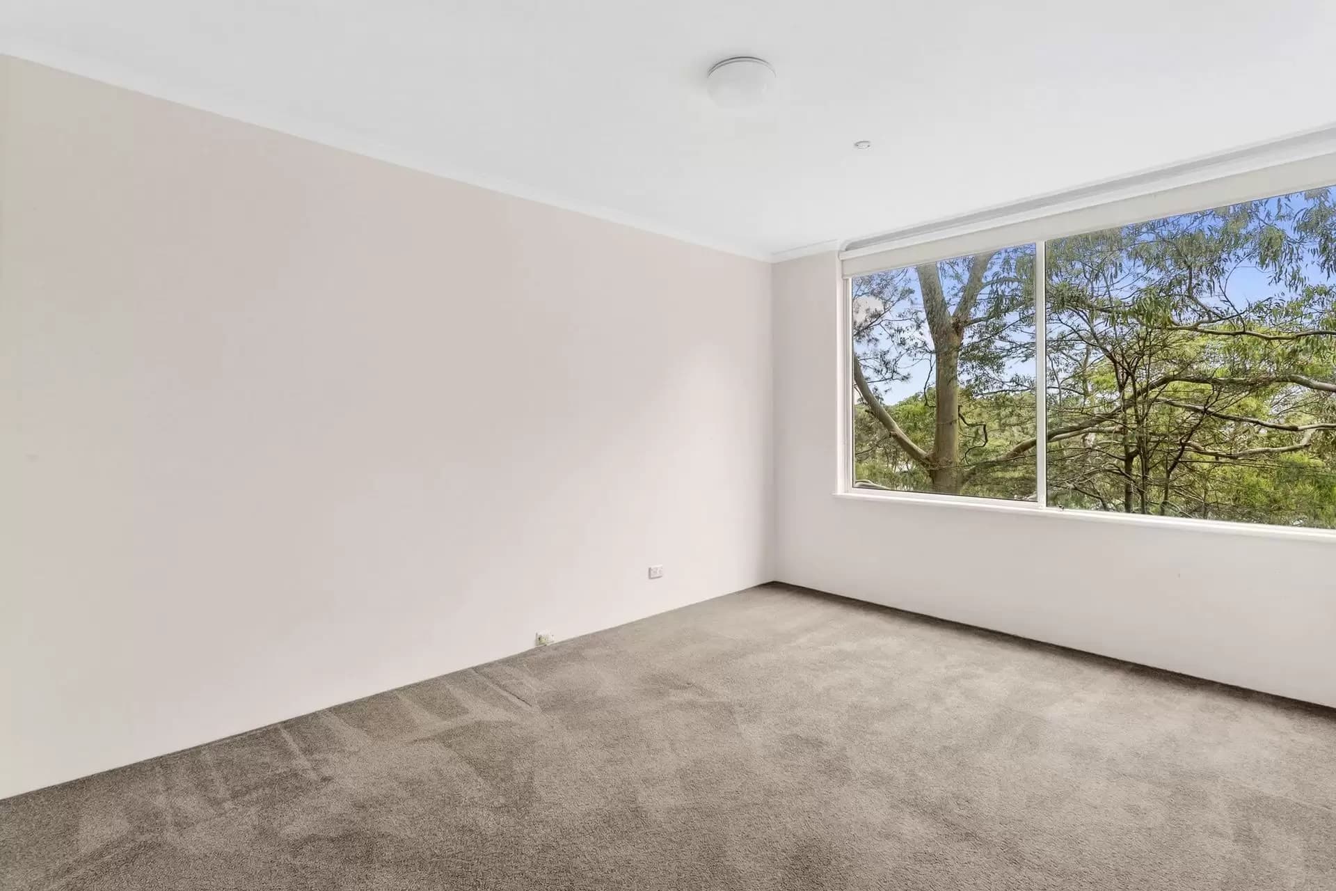 303/5 Jersey Road, Artarmon - Thumbnail 7