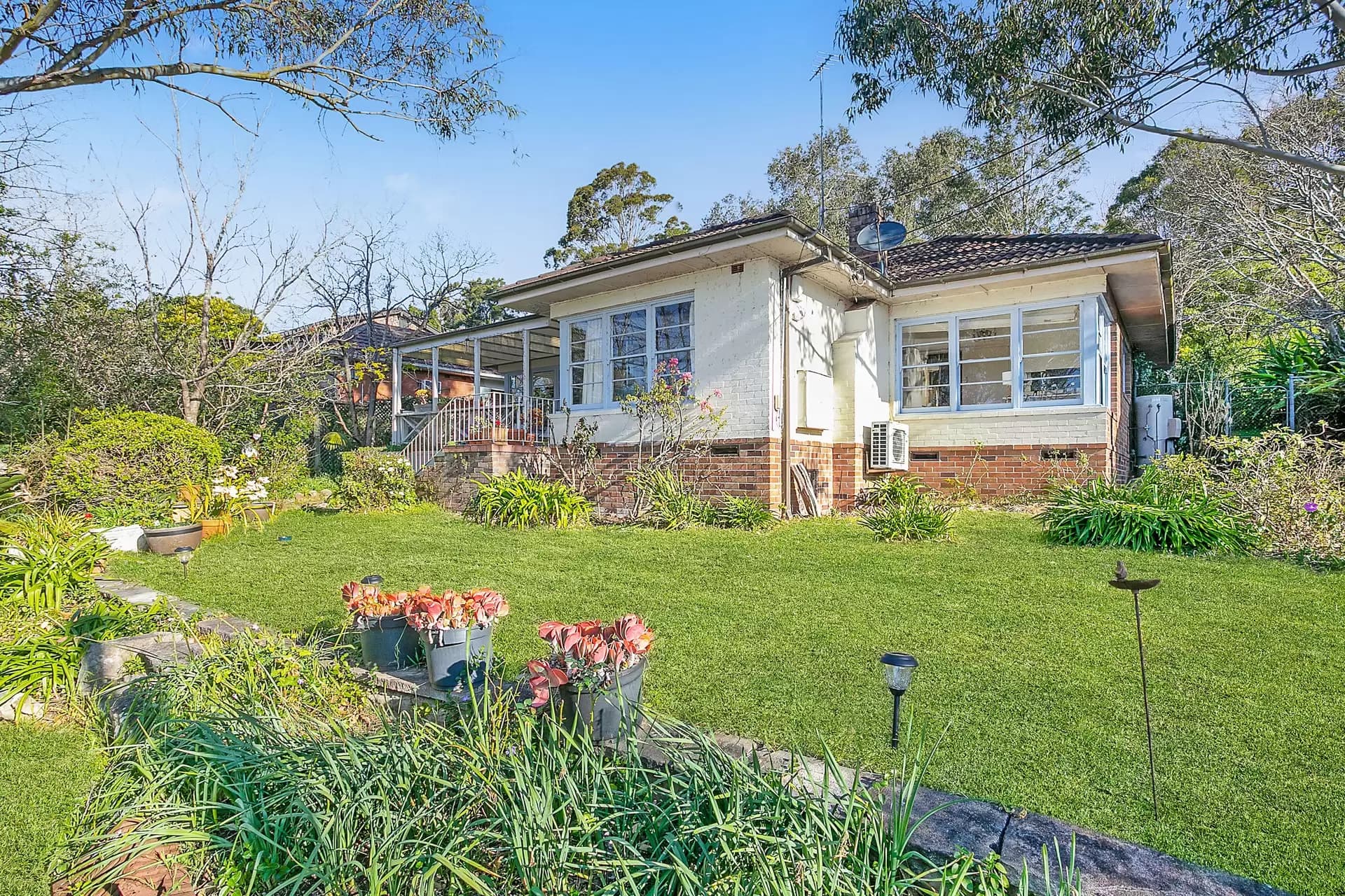 44 Millwood Avenue, Chatswood - Thumbnail 4
