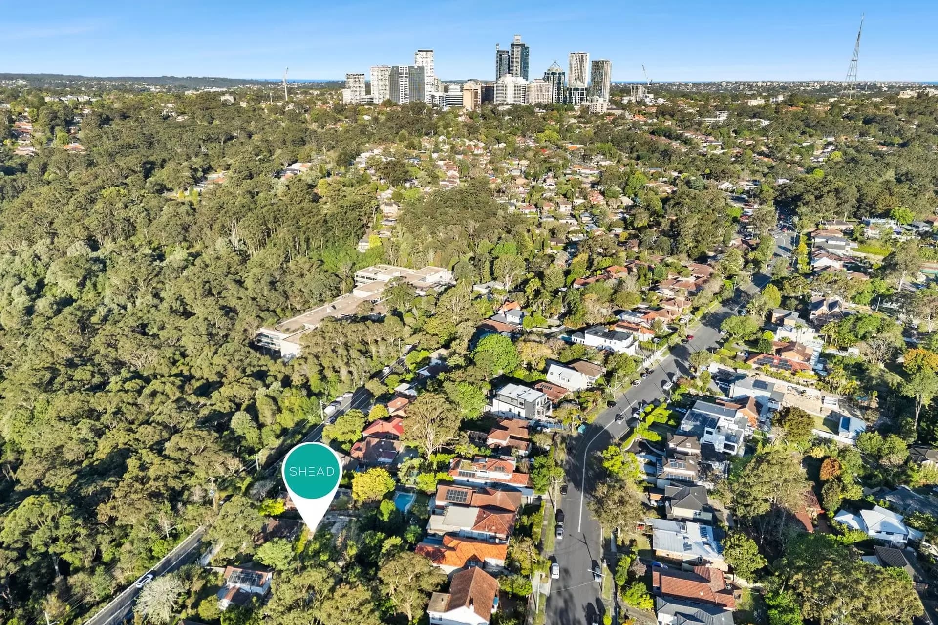 44 Millwood Avenue, Chatswood - Thumbnail 6