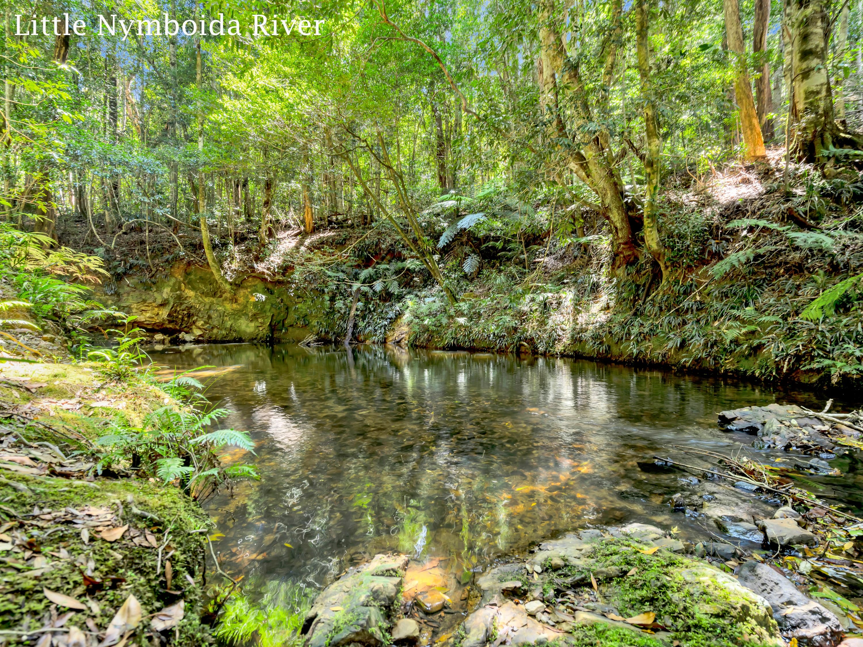 1445 Eastern Dorrigo Way, Lowanna NSW 2450, Lowanna - Thumbnail 3