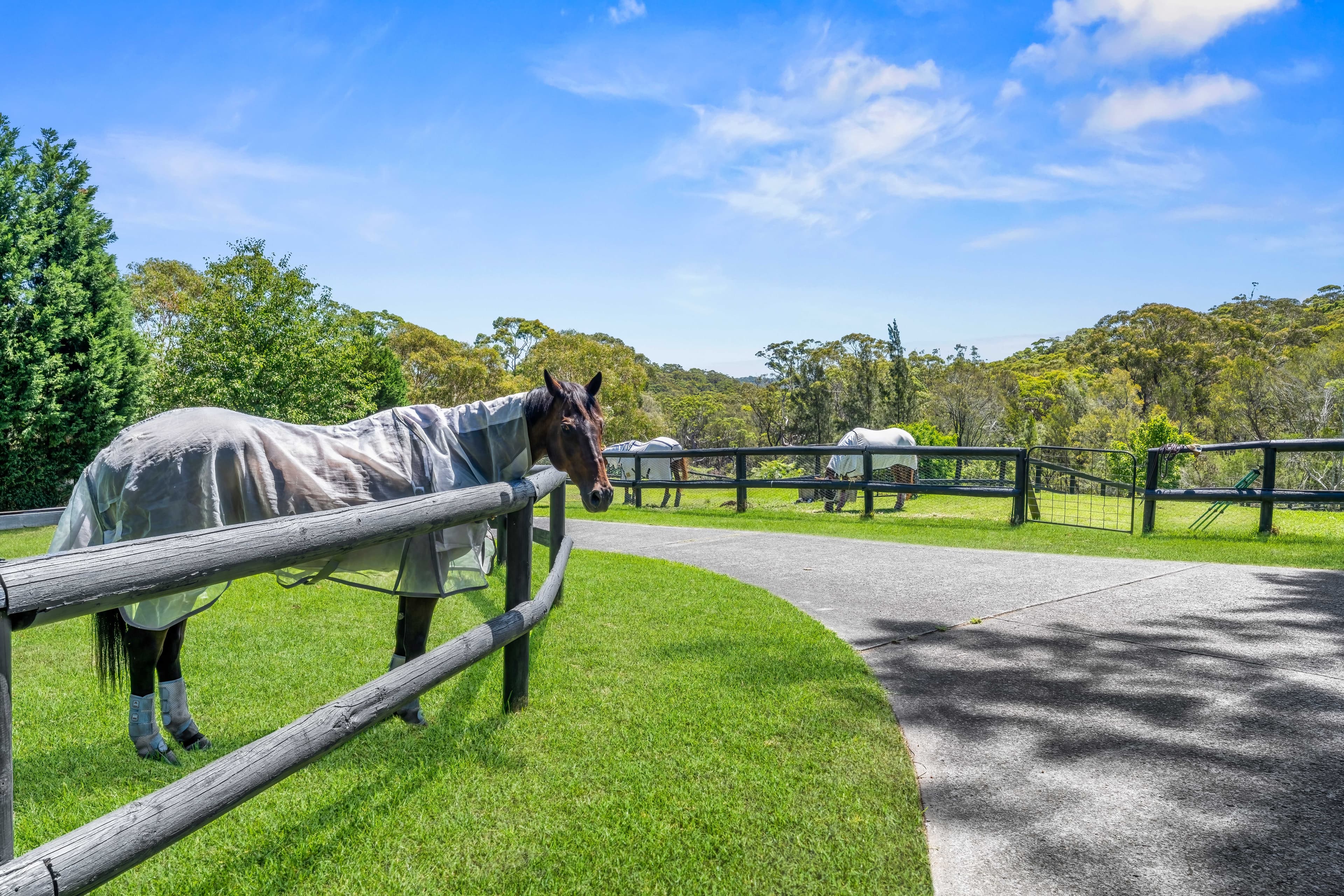 134 Booralie Road, DUFFYS FOREST NSW 2084, Duffys Forest - Thumbnail 3