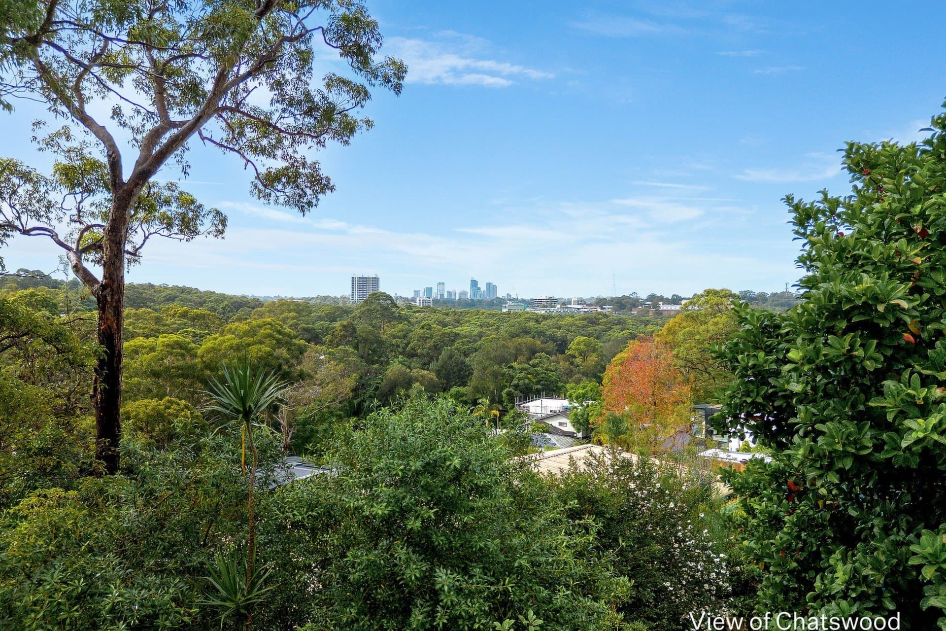 59 Melba Drive, East Ryde, East Ryde - Thumbnail 7