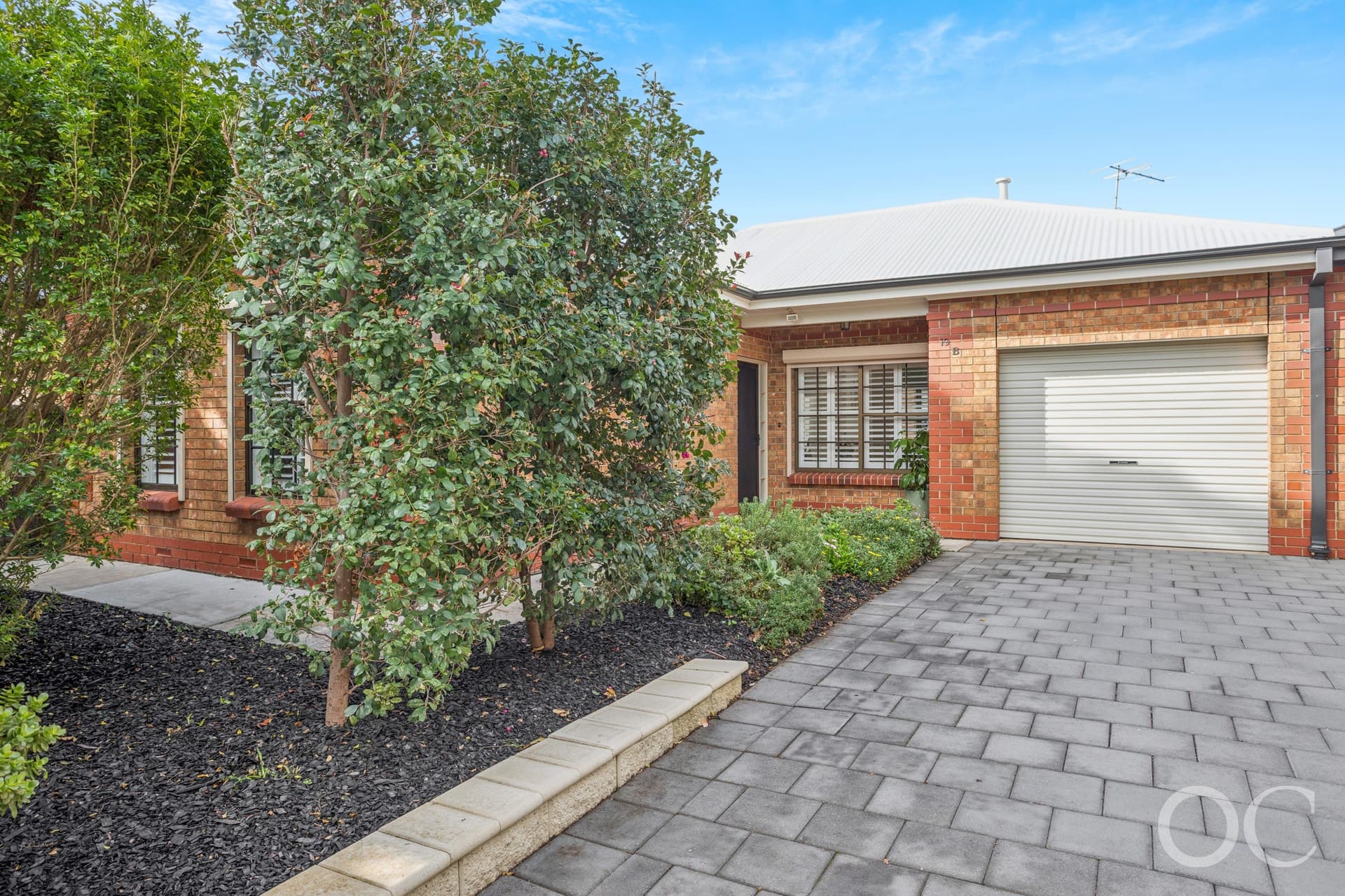 19B Weller Street, Goodwood - Image 1