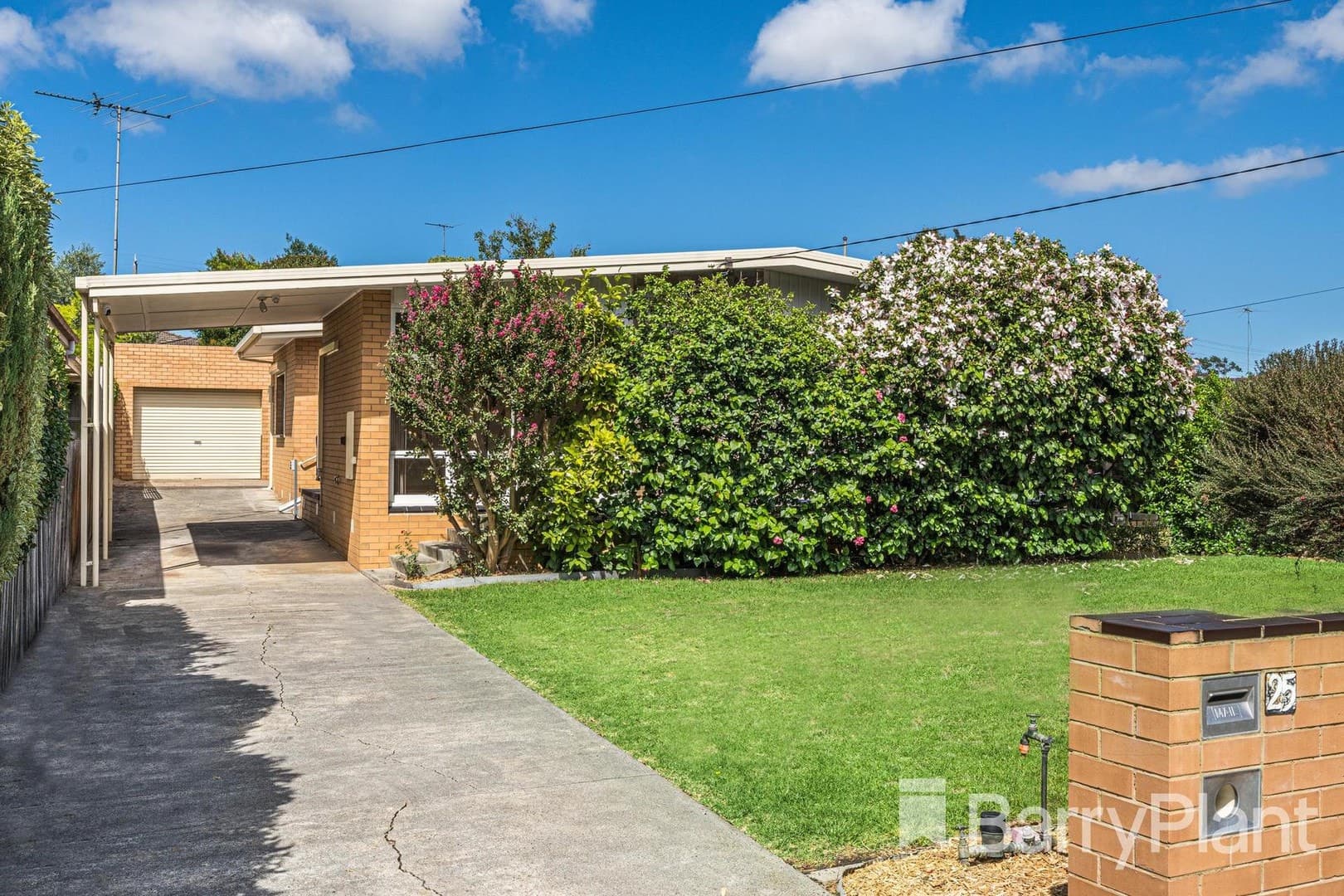 25 Kidman Avenue, Belmont, VIC 3216, Belmont - Image 1