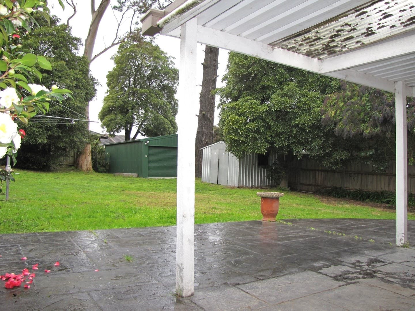 54 Warrandyte Road, Ringwood, VIC 3134, Ringwood - Thumbnail 4