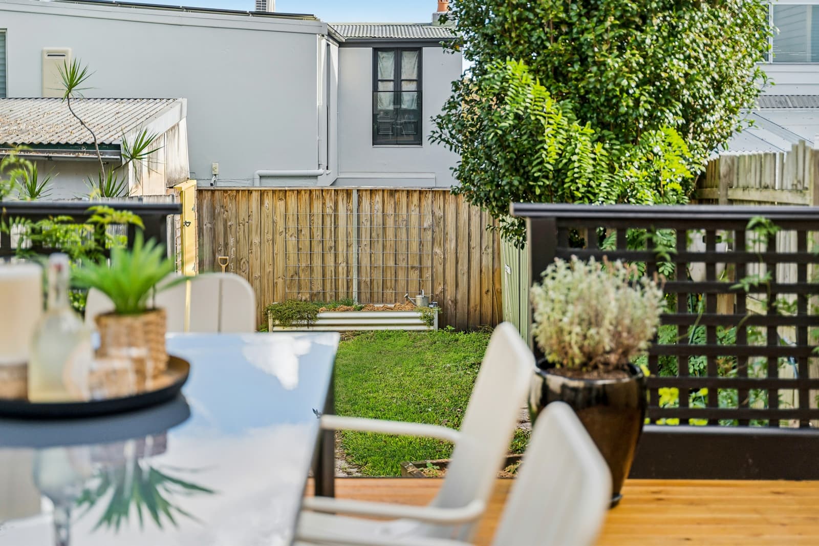 17 Belmore Street, ROZELLE, Rozelle - Thumbnail 6