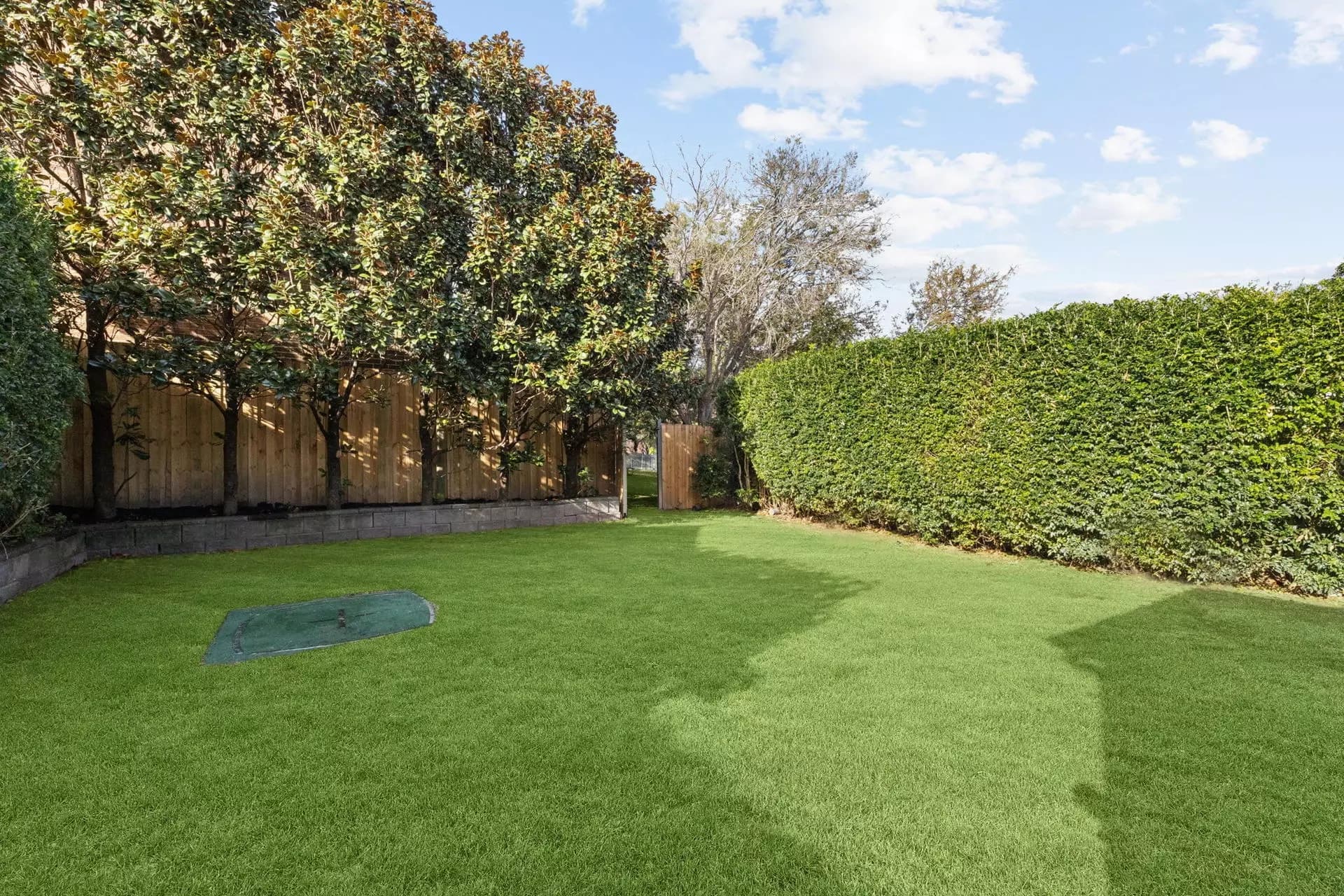 32 Helena Street, Lilyfield - Thumbnail 8