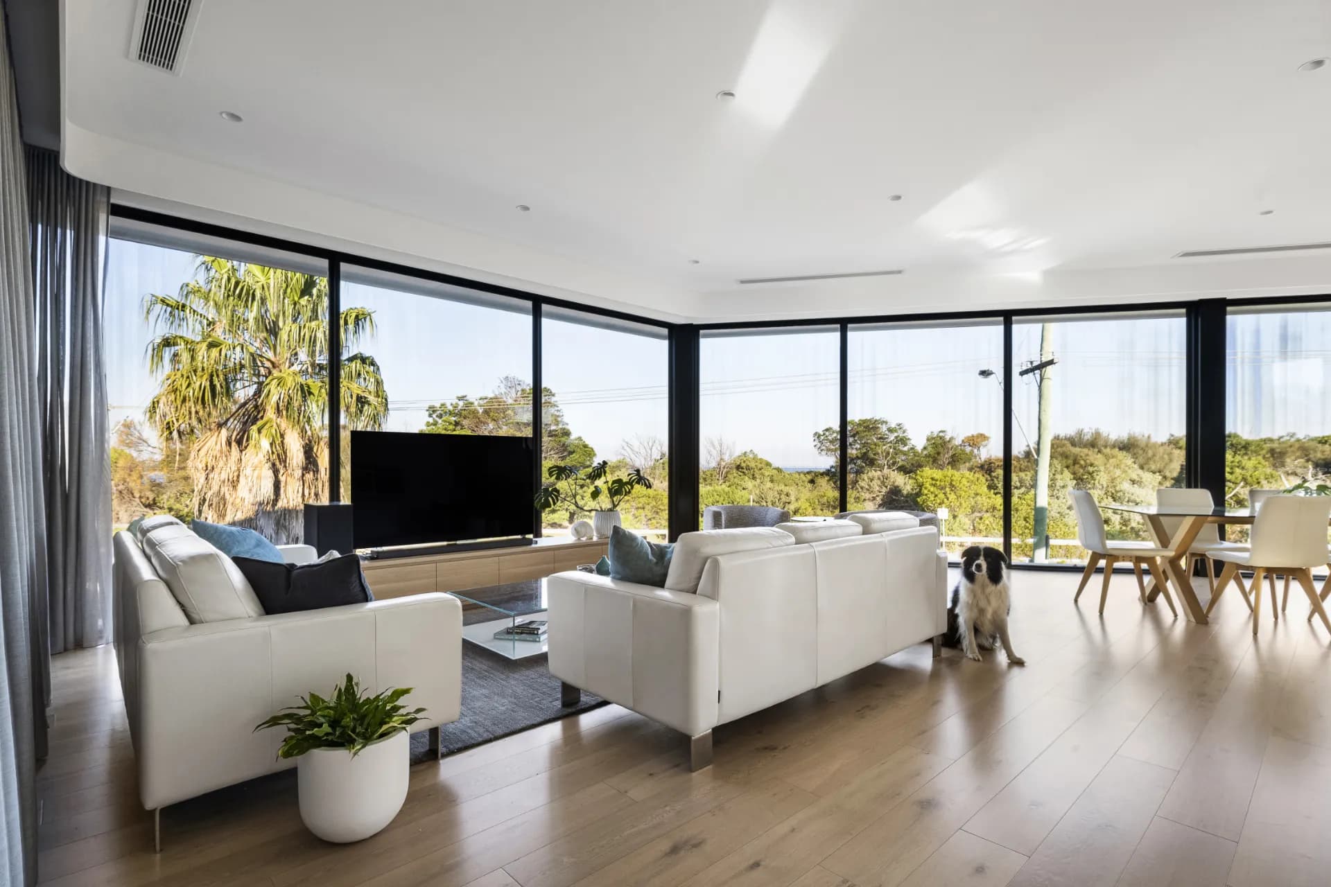 2A Hutchison  Avenue, Beaumaris, VIC, Beaumaris - Thumbnail 7