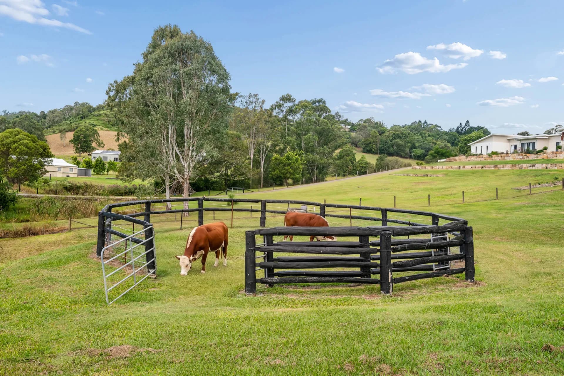 6 Range View Drive, Mount Samson, QLD, Mount Samson - Thumbnail 6