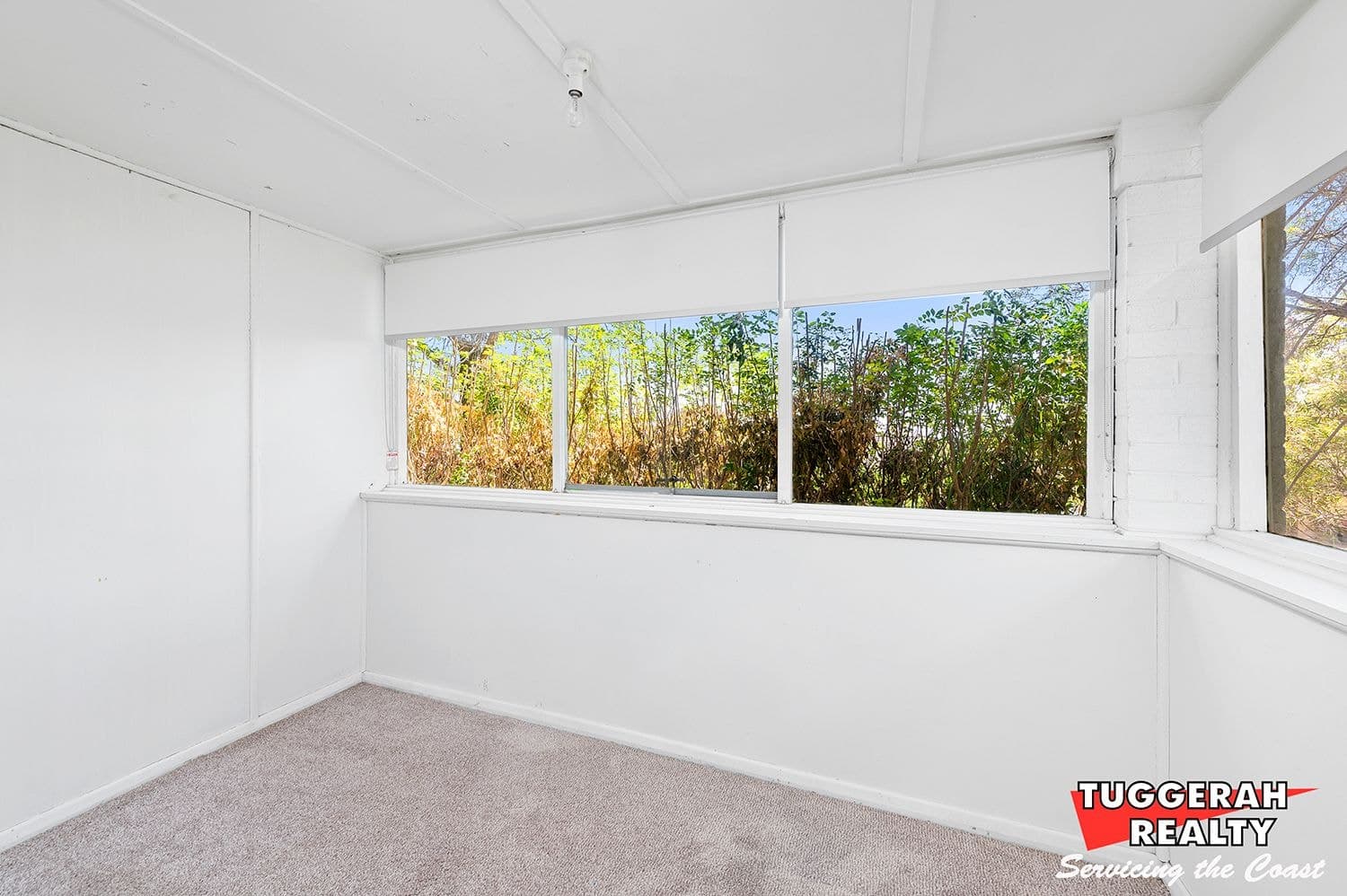 55 Perks St, Newcastle NSW 2287, Newcastle - Thumbnail 5