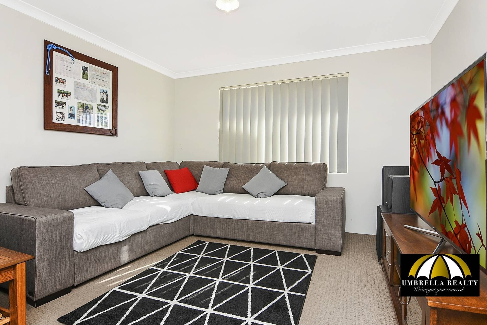 26 Columbine Tce, Glen Iris - Thumbnail 6
