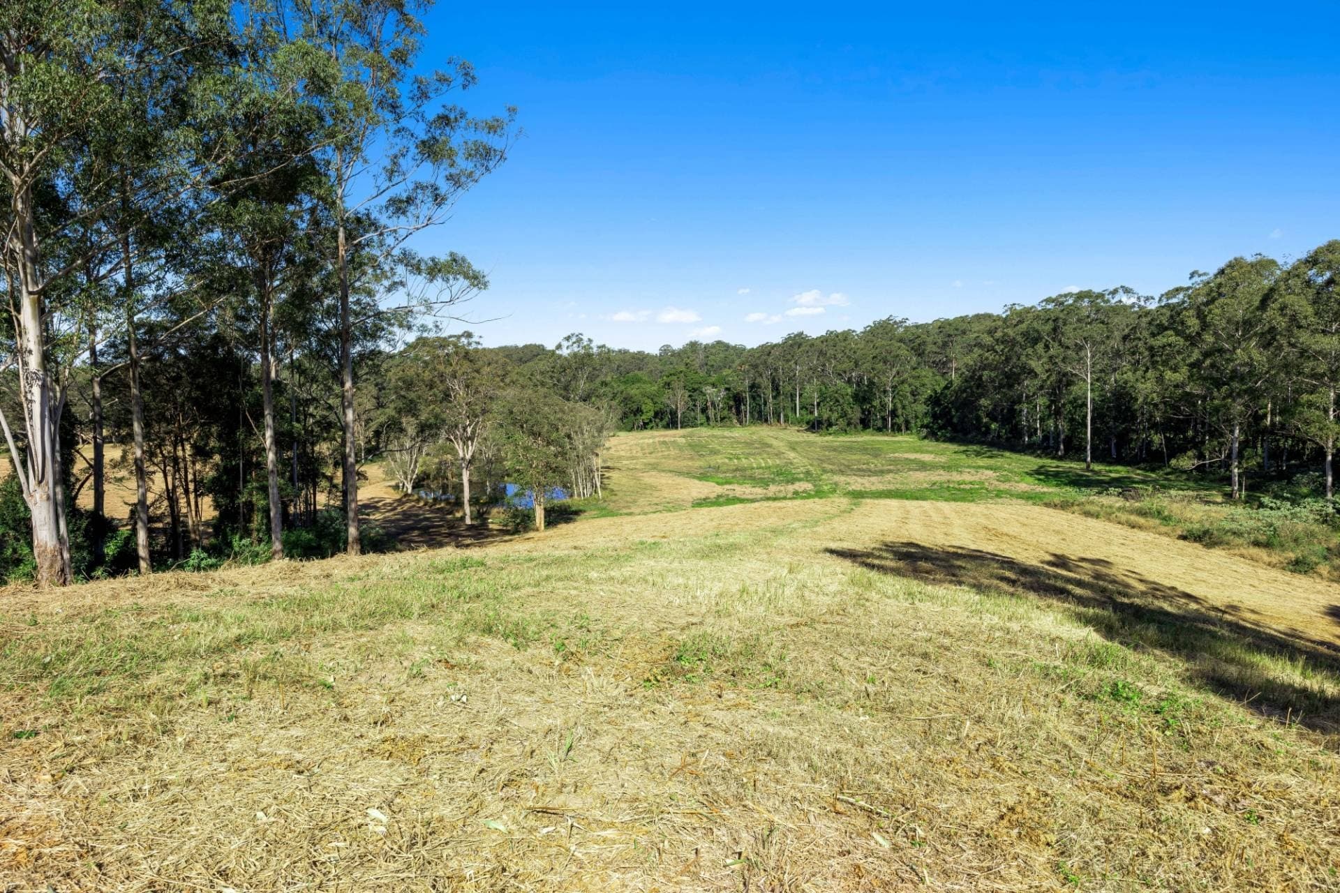 34 Dunne Road, Glenview - Thumbnail 6