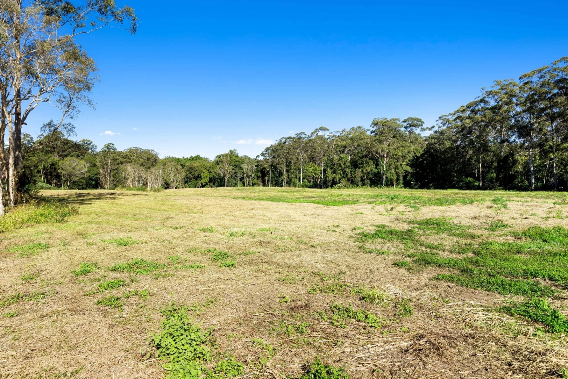 34 Dunne Road, Glenview - Thumbnail 7