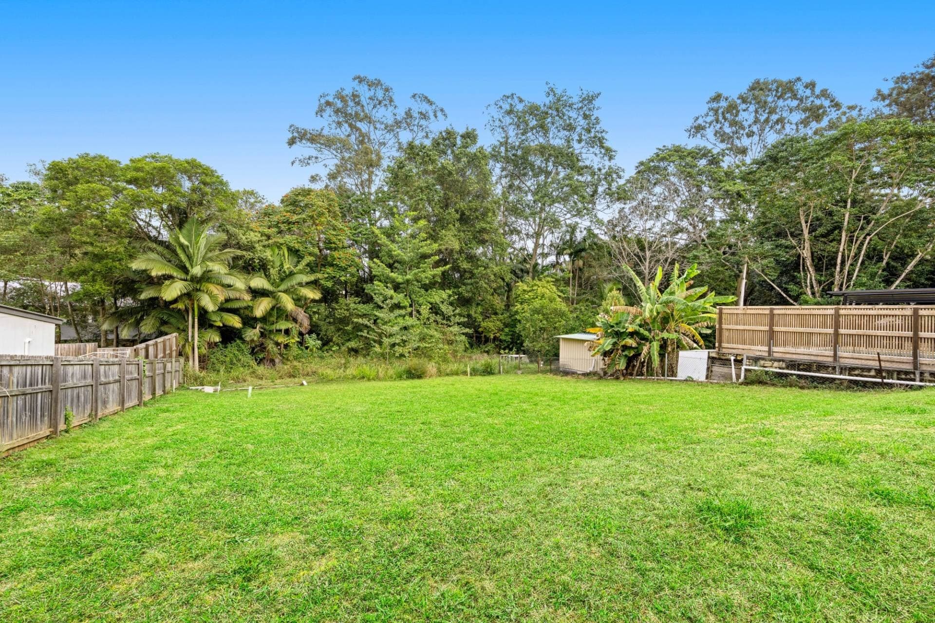 7 Churchill Street, Palmwoods - Thumbnail 4