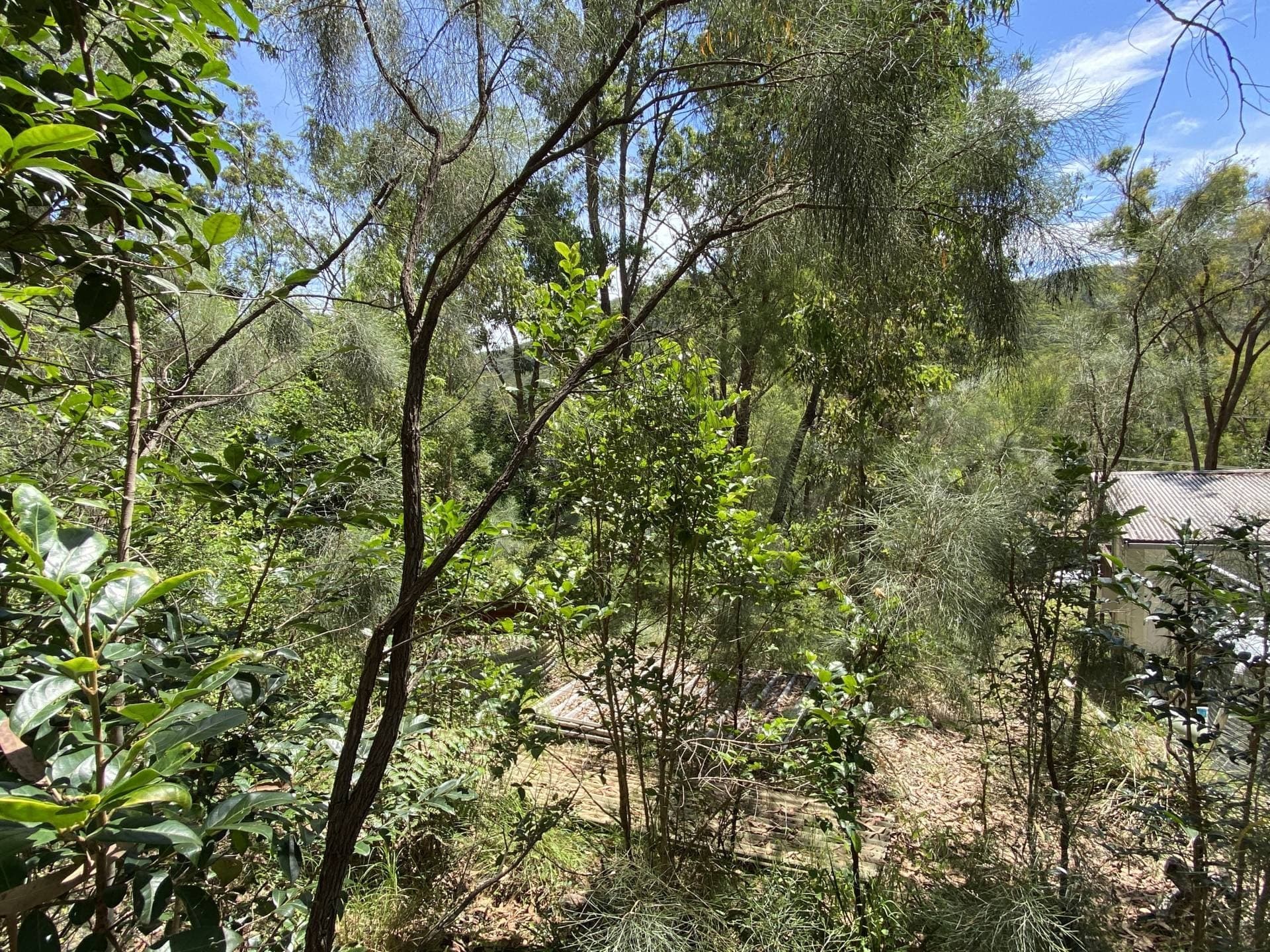 554 Settlers Rd, Lower Macdonald - Thumbnail 7