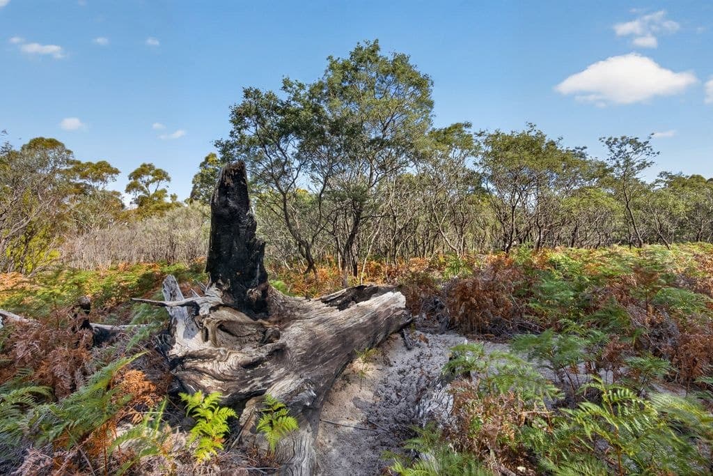183 Josephs Road, Carlton - Thumbnail 5
