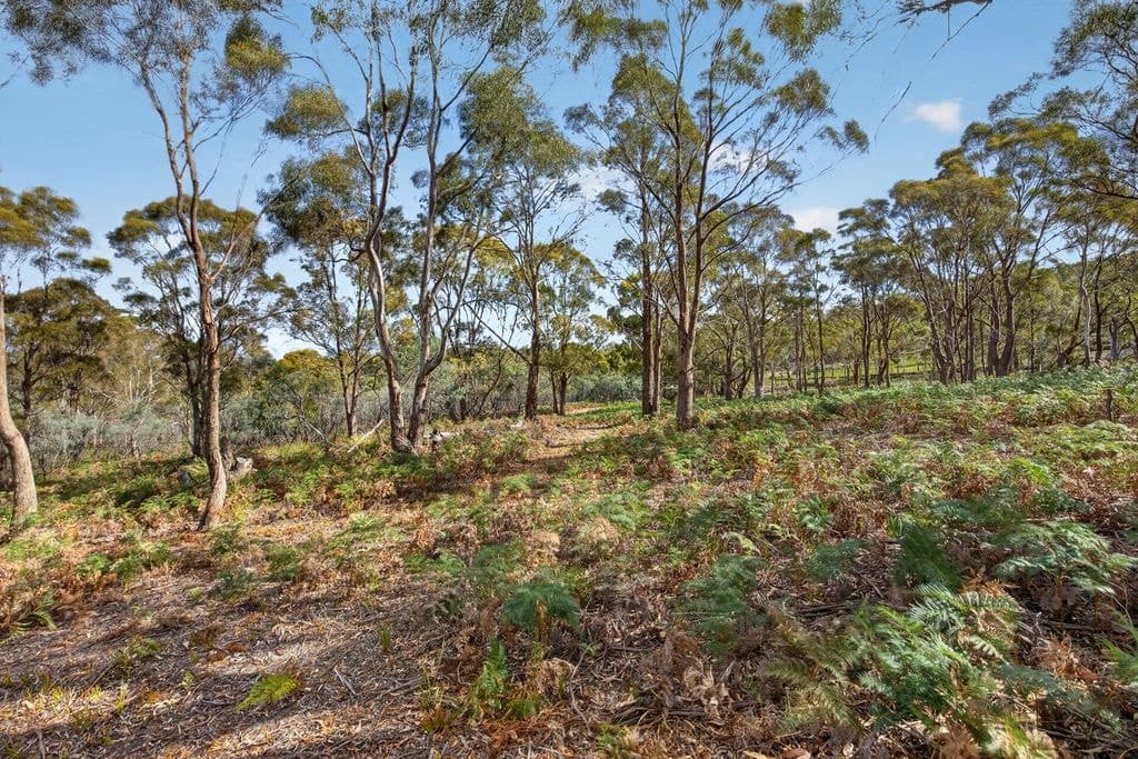 183 Josephs Road, Carlton - Thumbnail 6