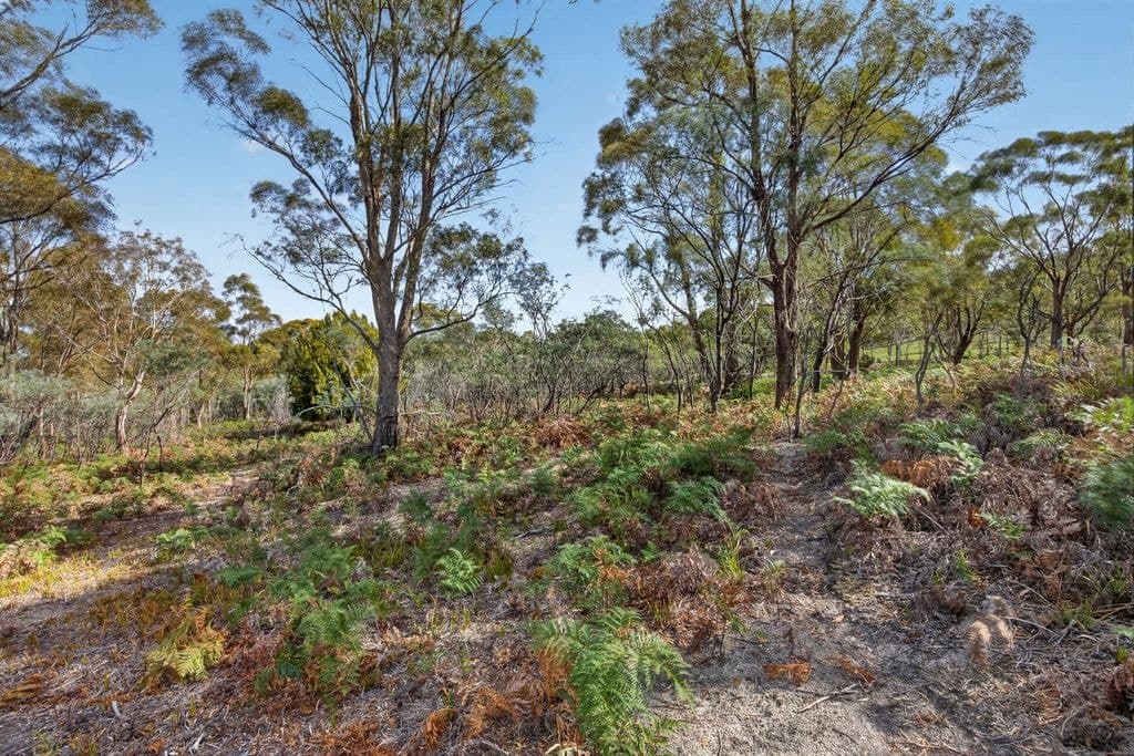 183 Josephs Road, Carlton - Thumbnail 7