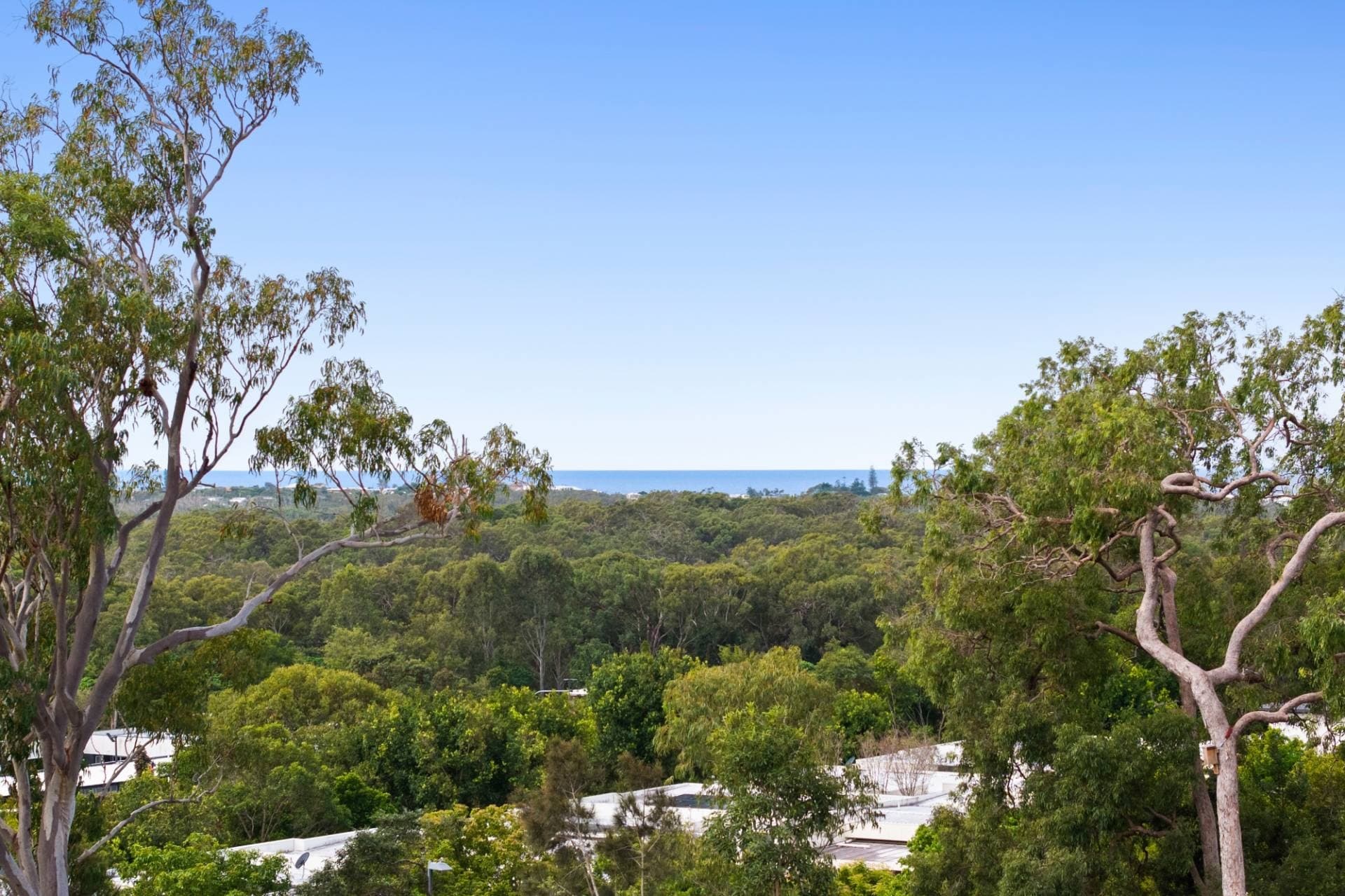 1 Lacewood Court, Peregian Springs - Thumbnail 8